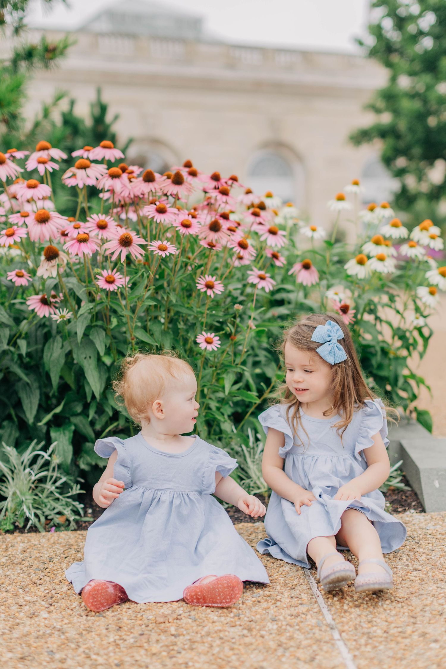 Two little sisters in matching blue dresses sit together among colorful pink coneflowers in a garden.