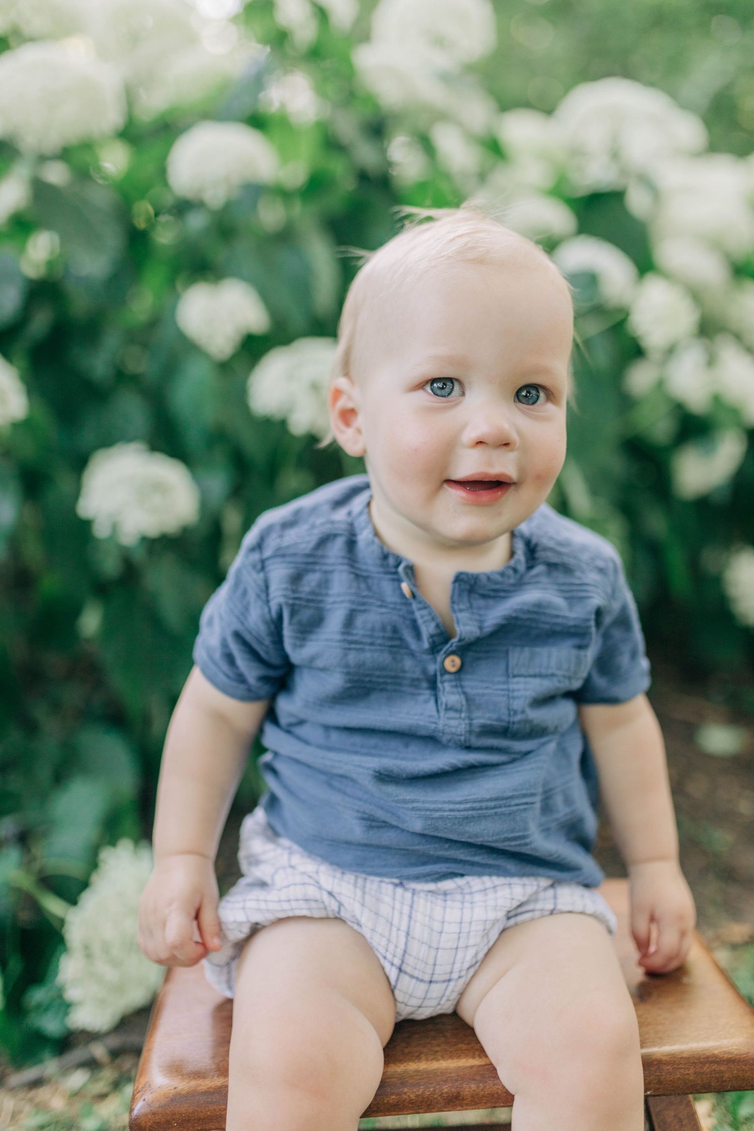 Baby in blue shirt and plaid shorts sits on wooden bench surrounded by white flowers in garden setting.