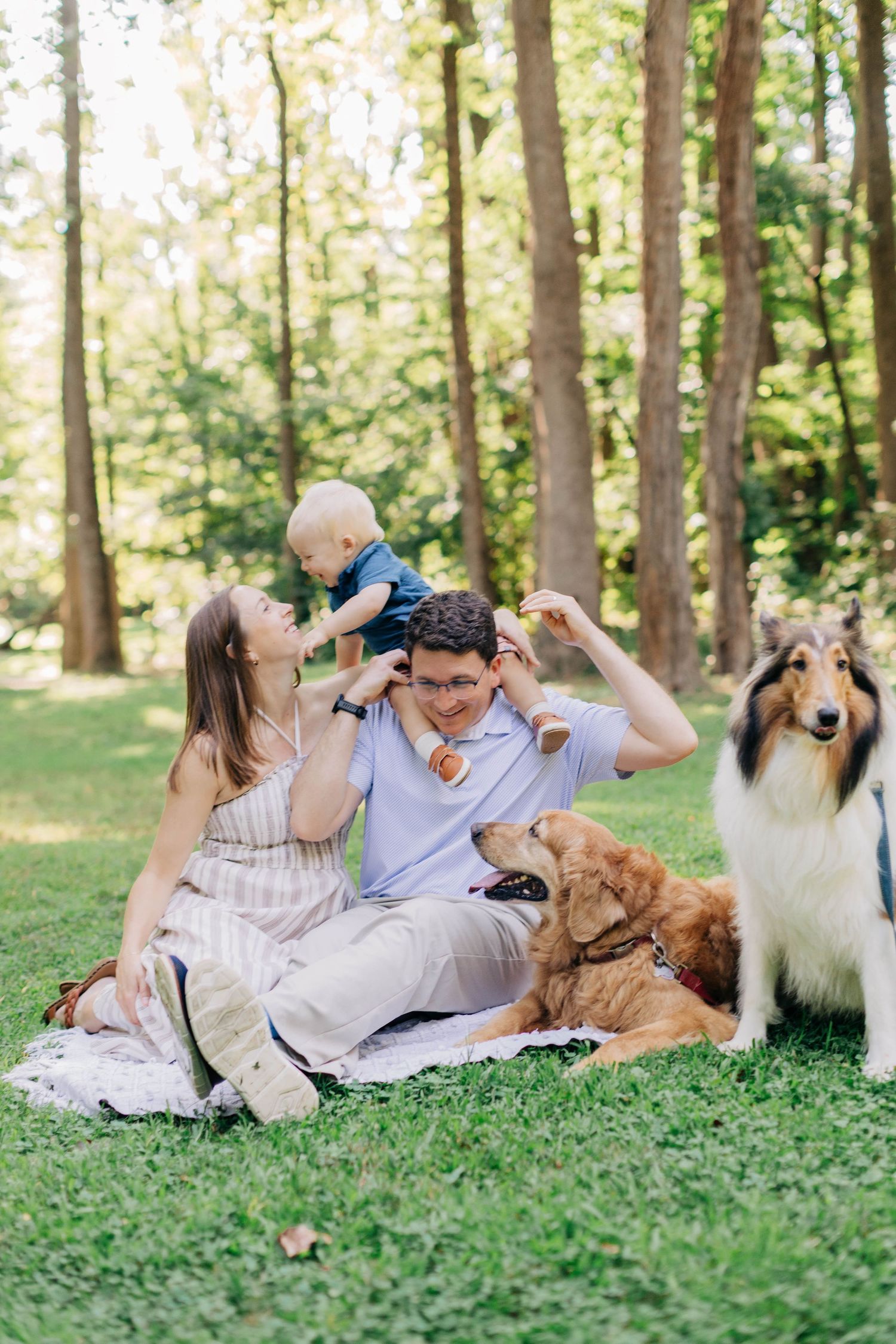 Family with baby and two dogs enjoying a sunny picnic on green grass in a wooded park setting.
