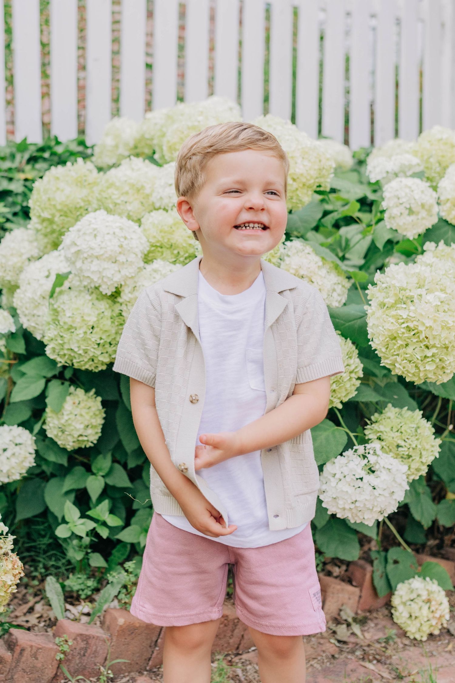 A child in summer clothing poses by blooming white hydrangea bushes along a white picket fence.
