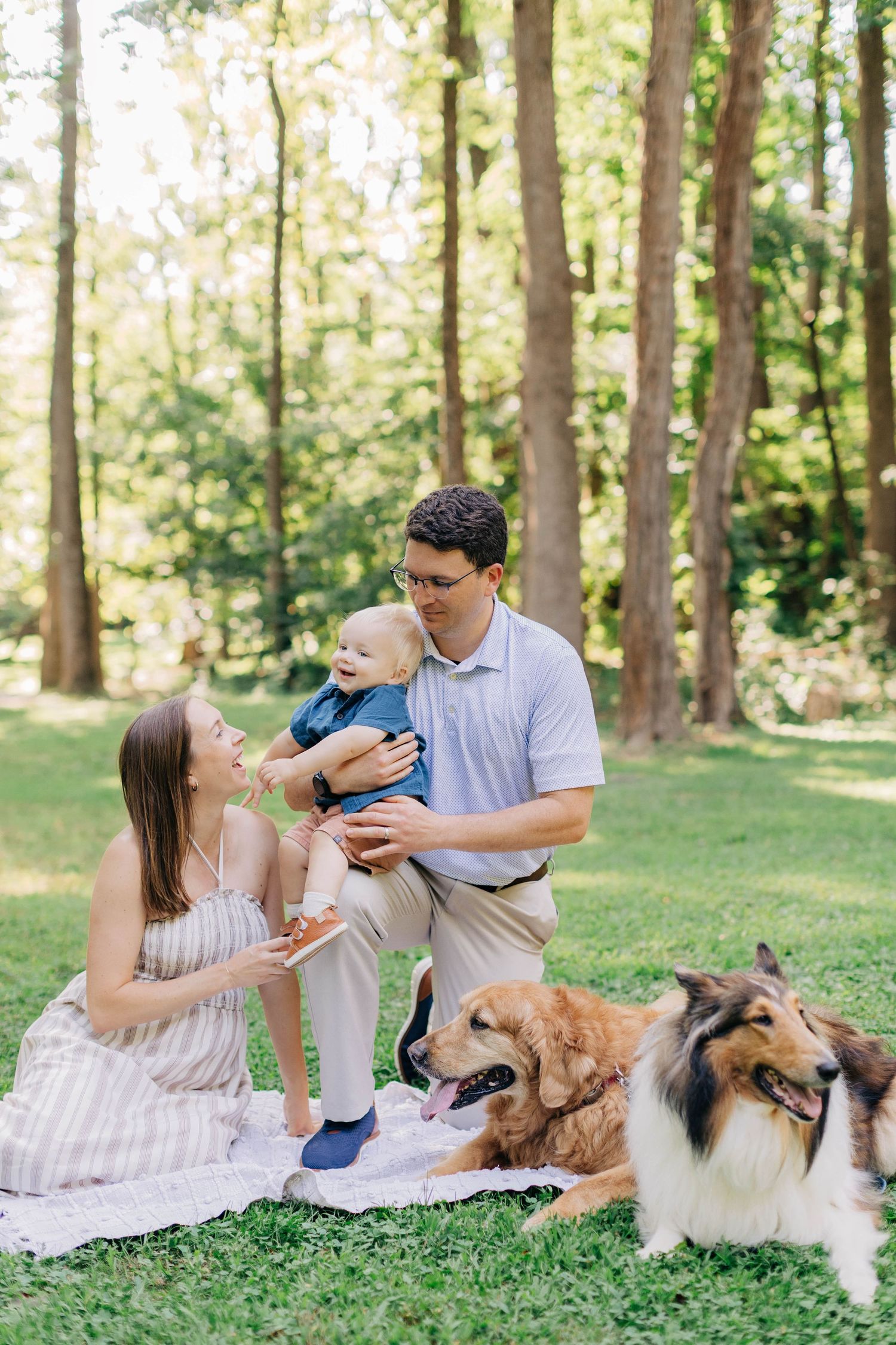 Family with baby and two dogs enjoying a sunny picnic in a lush green park.