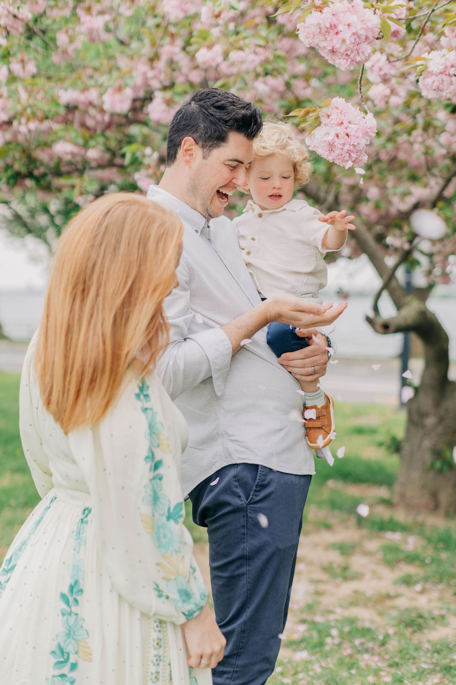 Family enjoying a spring day under blooming cherry blossom trees in a park.