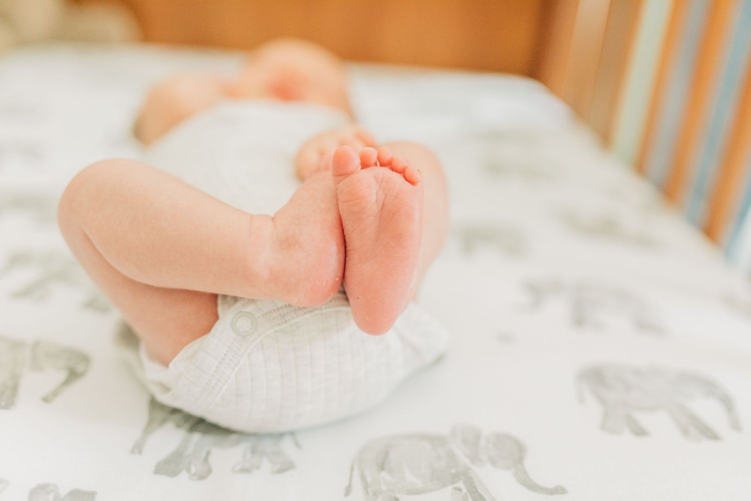 Close-up of tiny baby feet against white fabric background.