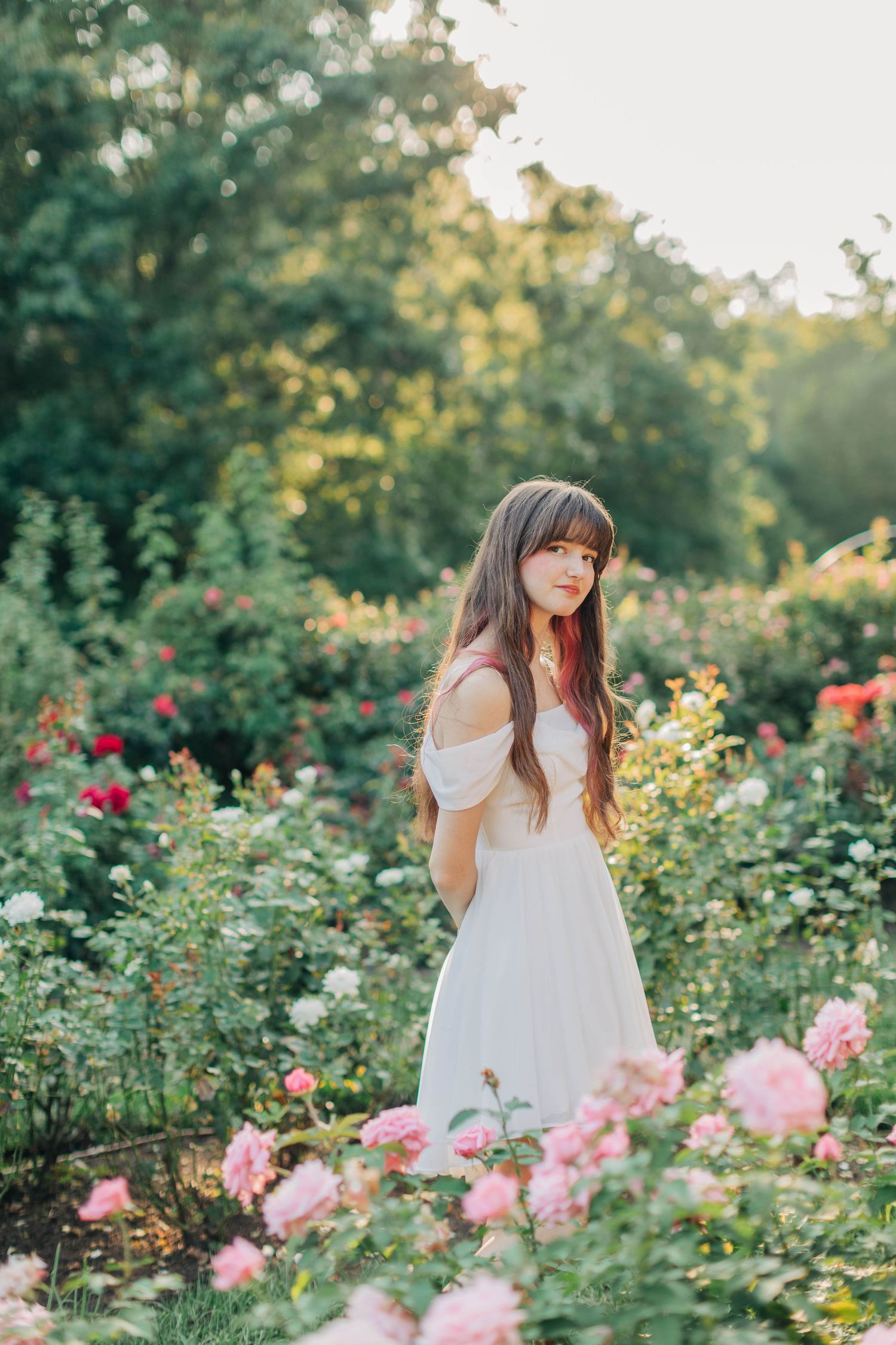 Soft summer light illuminates a rose garden scene with delicate pink blooms and white dress.