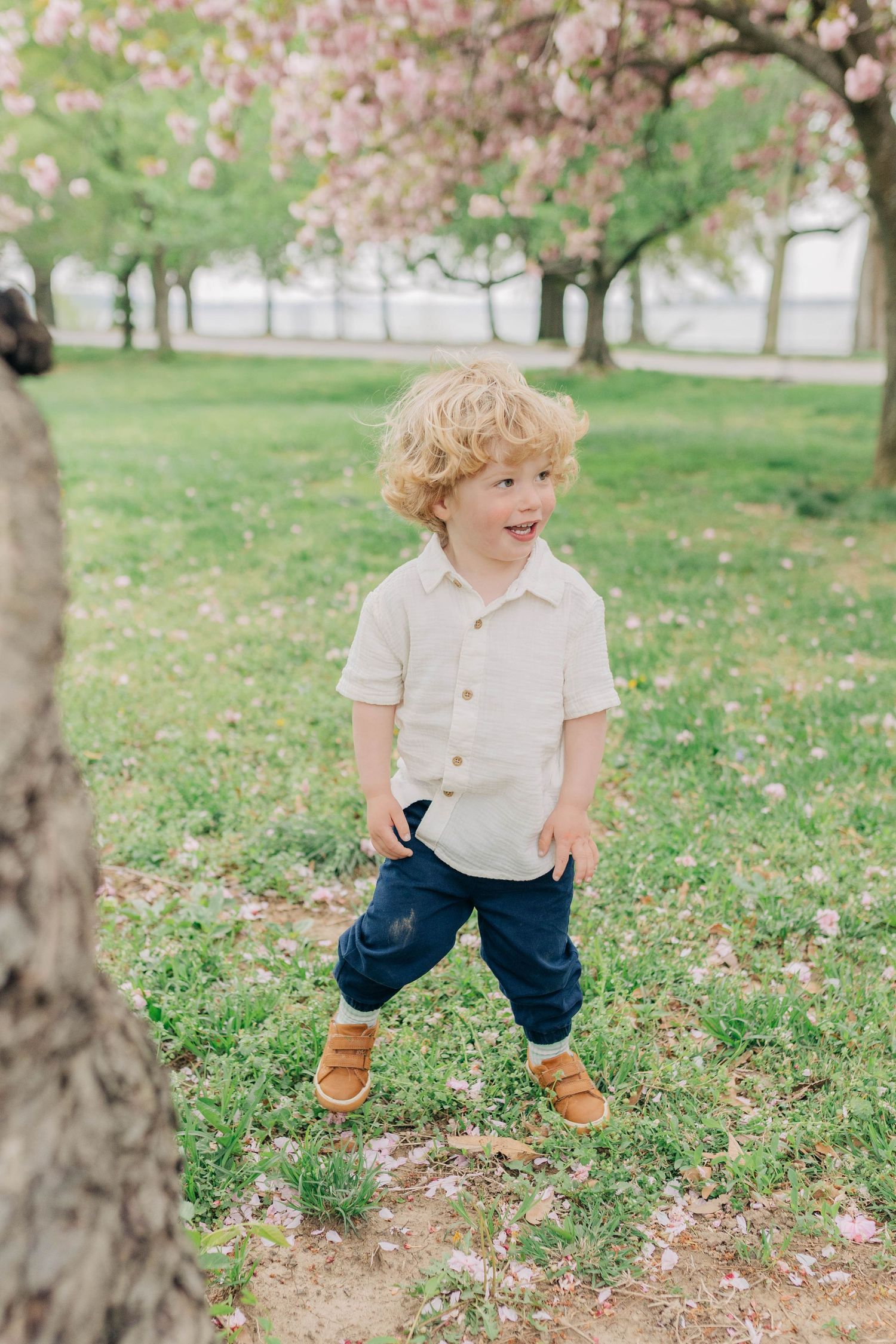 A child plays joyfully among pink cherry blossom petals scattered on green grass in a spring park setting.