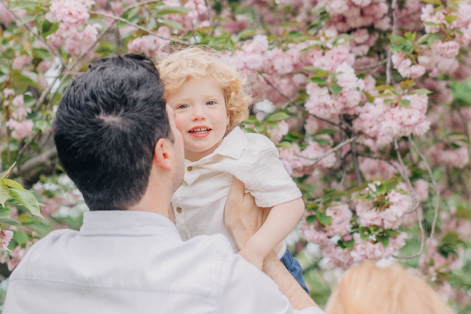 Family enjoying spring cherry blossoms together in a blooming garden during a sunny afternoon.