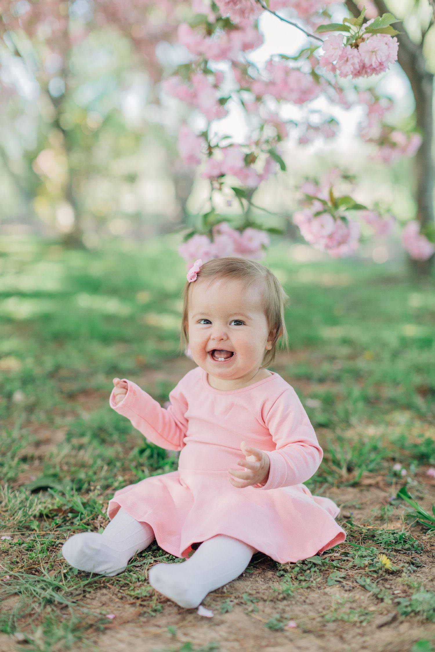Joyful baby in pink dress laughing under cherry blossom branches.