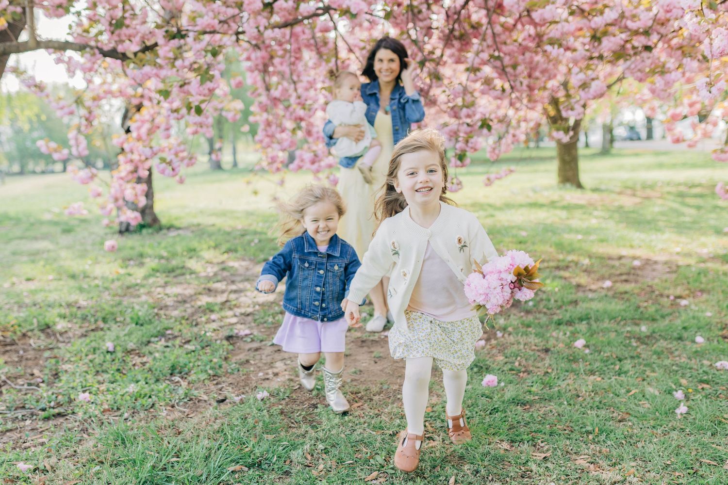 Cherry blossoms frame a joyful family photoshoot in a park setting.