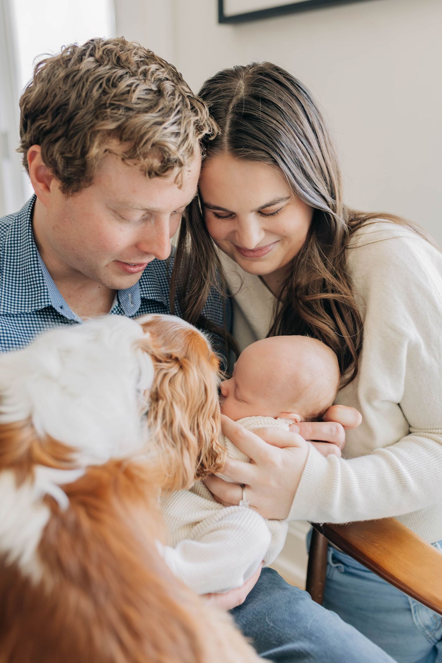 Happy couple with Cavalier King Charles Spaniel dog meeting their newborn baby.