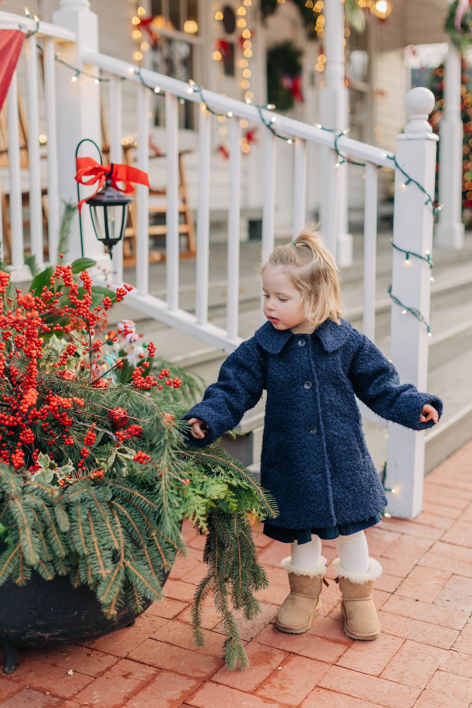 Toddler girl in navy coat and UGG boots touching red berry Christmas plant on decorated porch.
