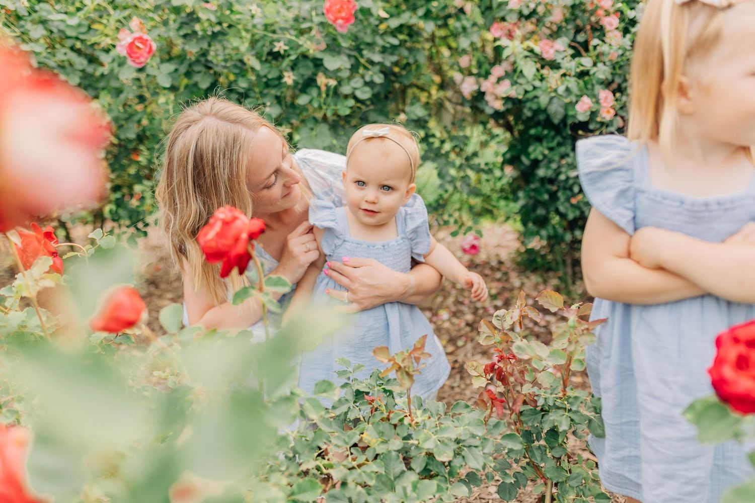 Casual family portraits taken in a garden with blooming red roses in the background.
