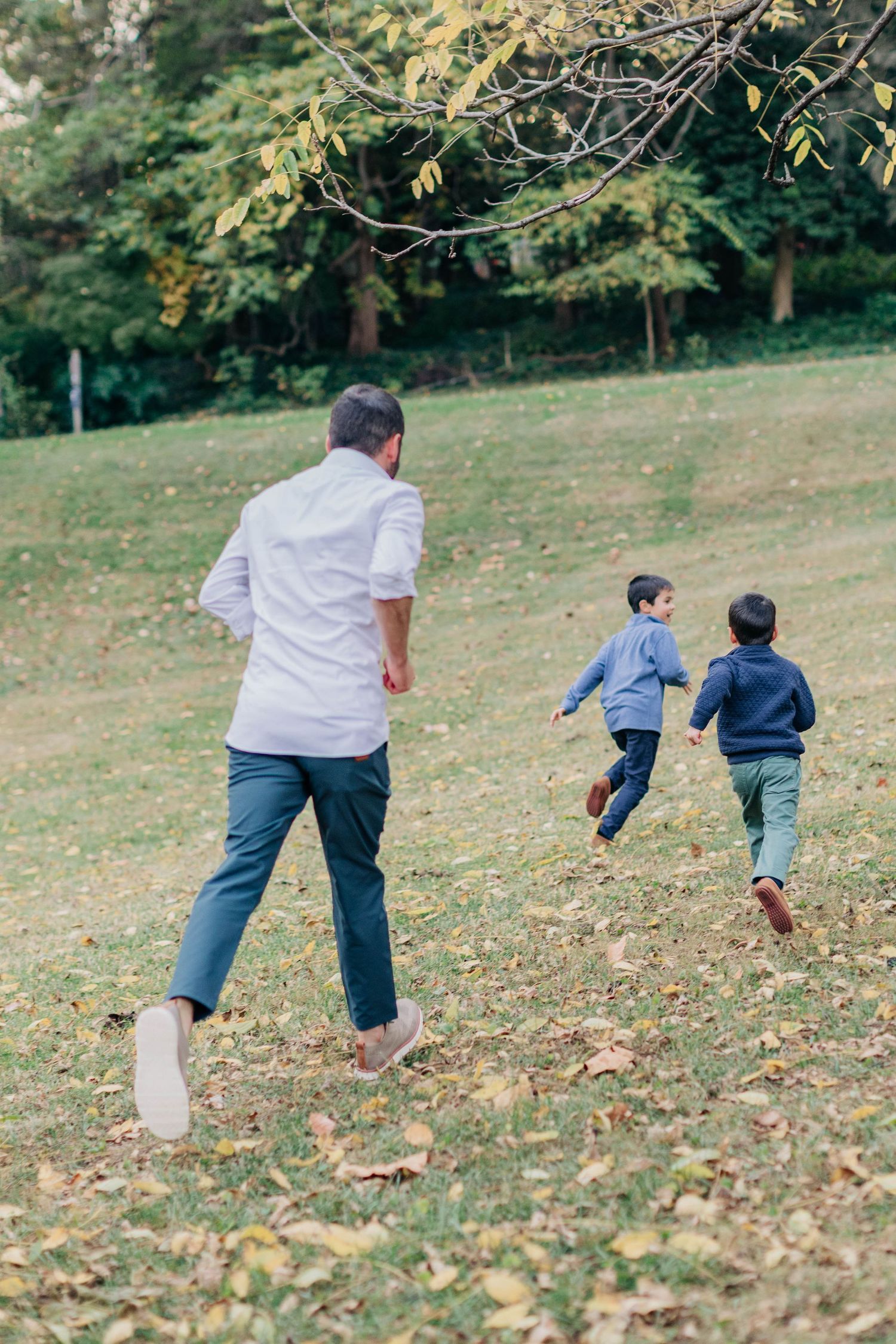 Father chasing two young boys across a green park lawn surrounded by autumn trees.