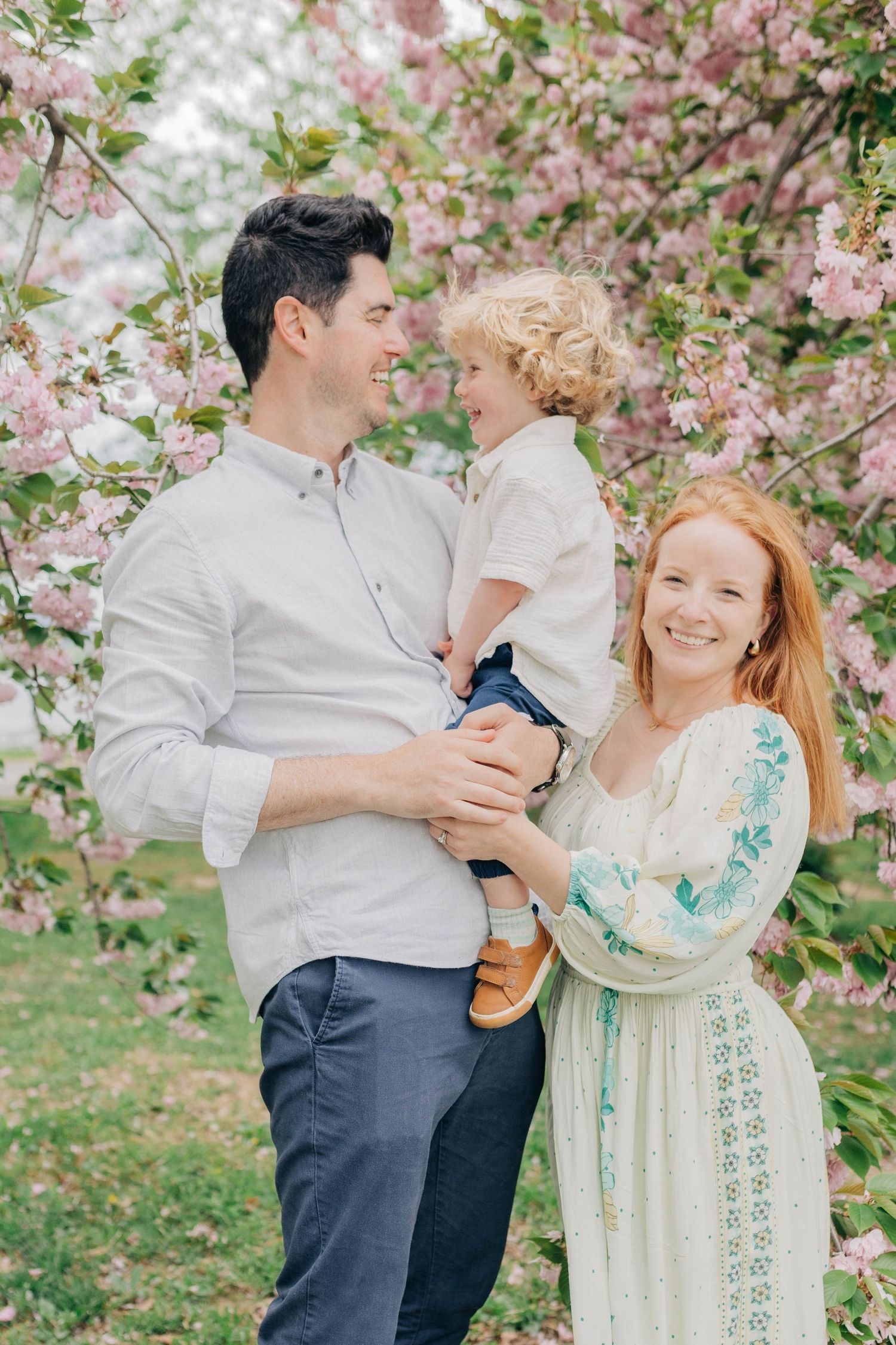 A couple shares romantic moments under blooming cherry blossom trees in springtime.