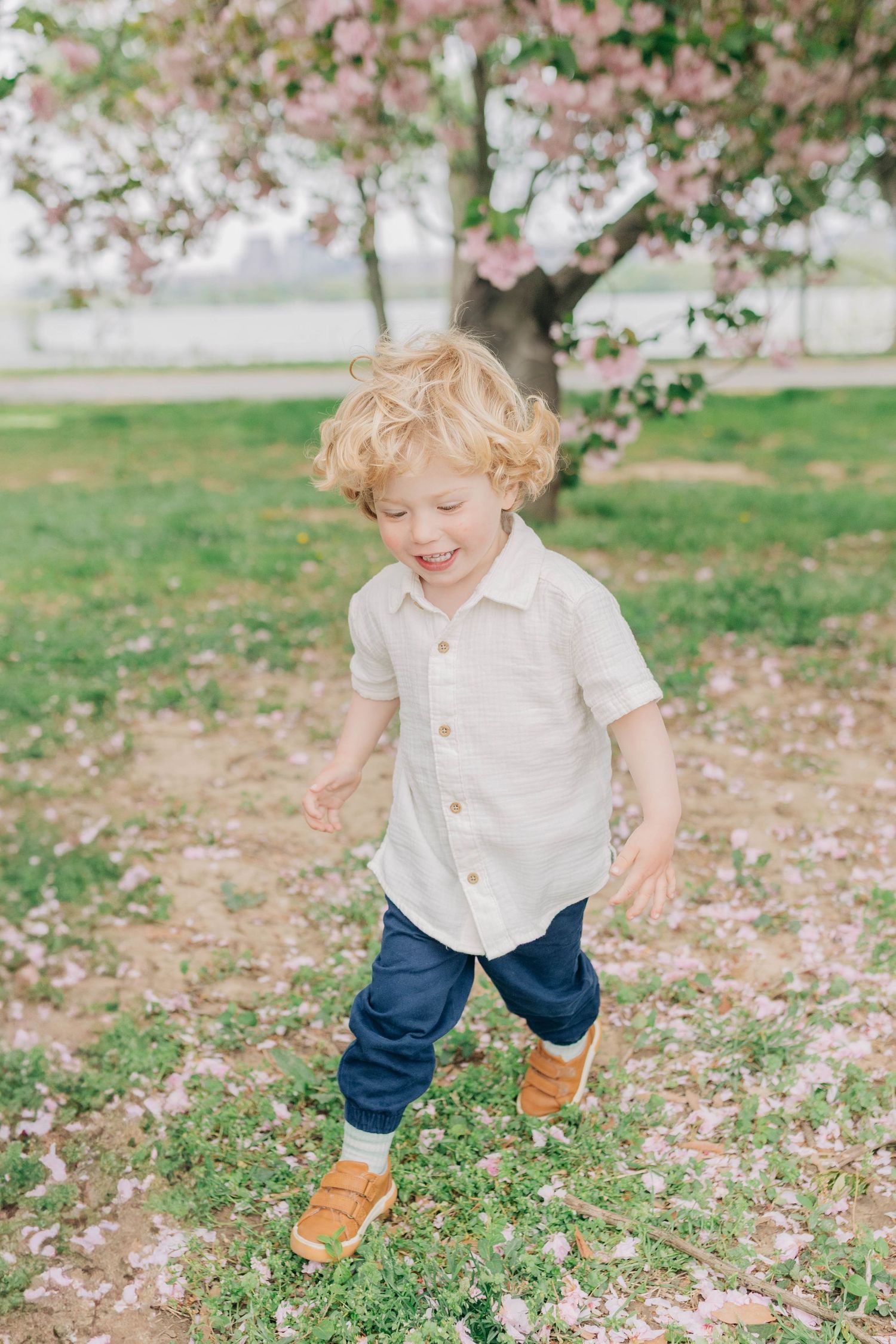 Young child in white shirt and blue pants runs through pink cherry blossom petals on grass.