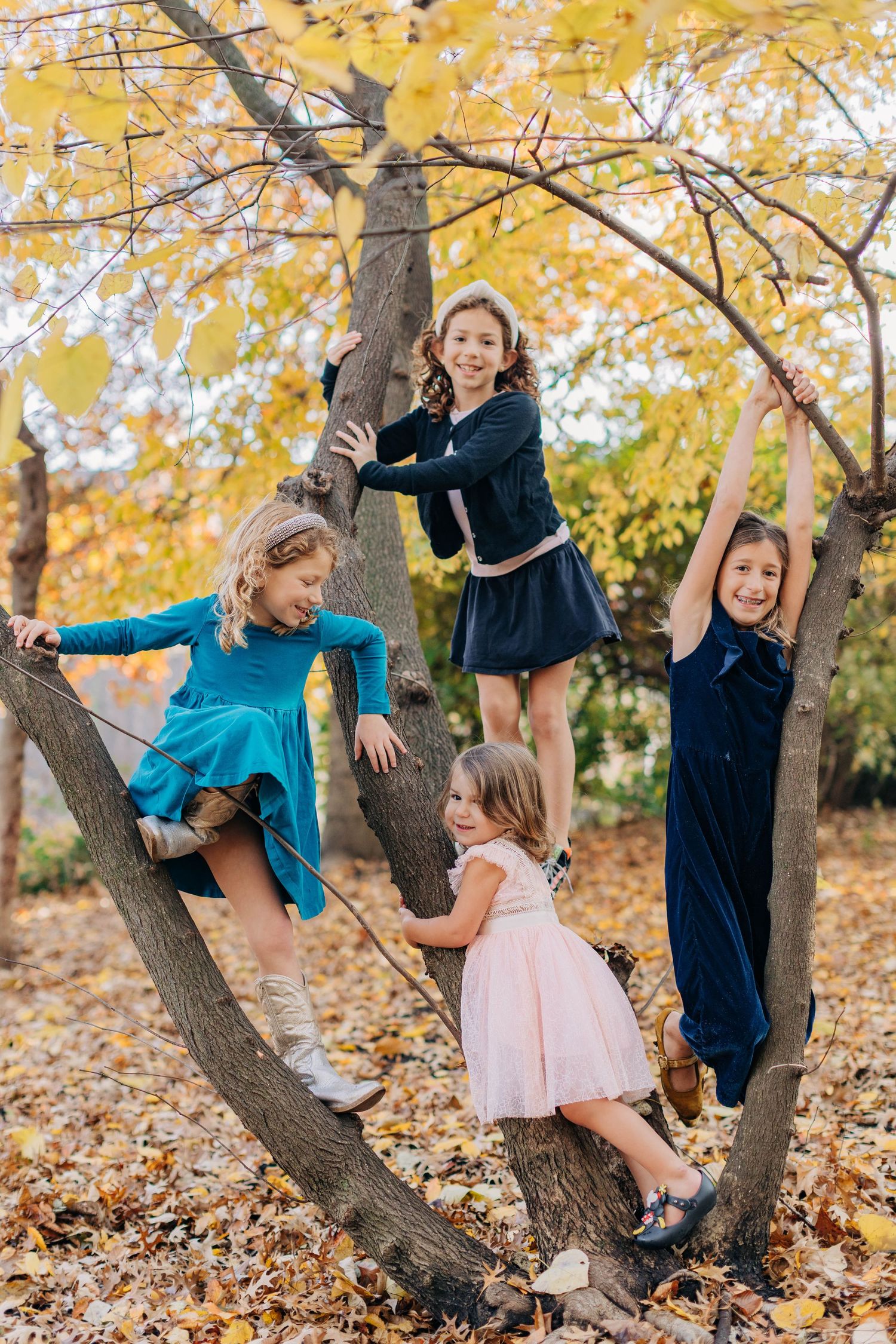 Children play and climb on tree branches surrounded by golden autumn leaves.