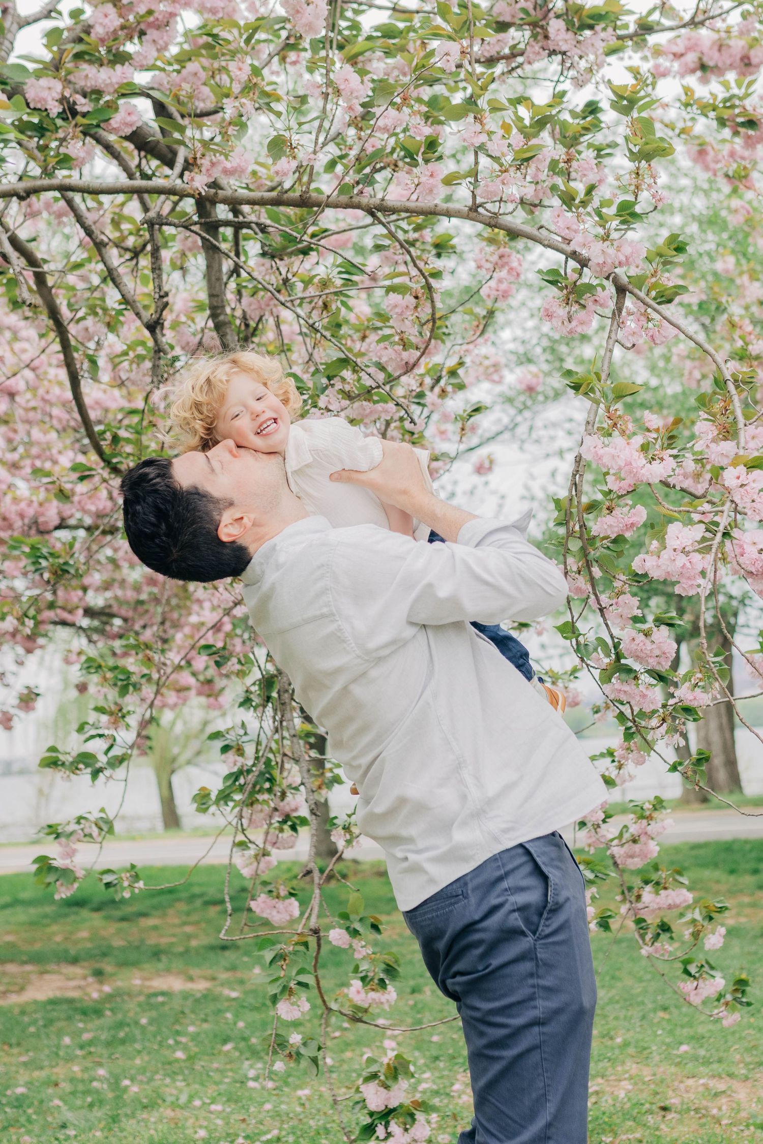 A child in white sweater and navy pants plays under blooming pink cherry blossom trees in springtime.
