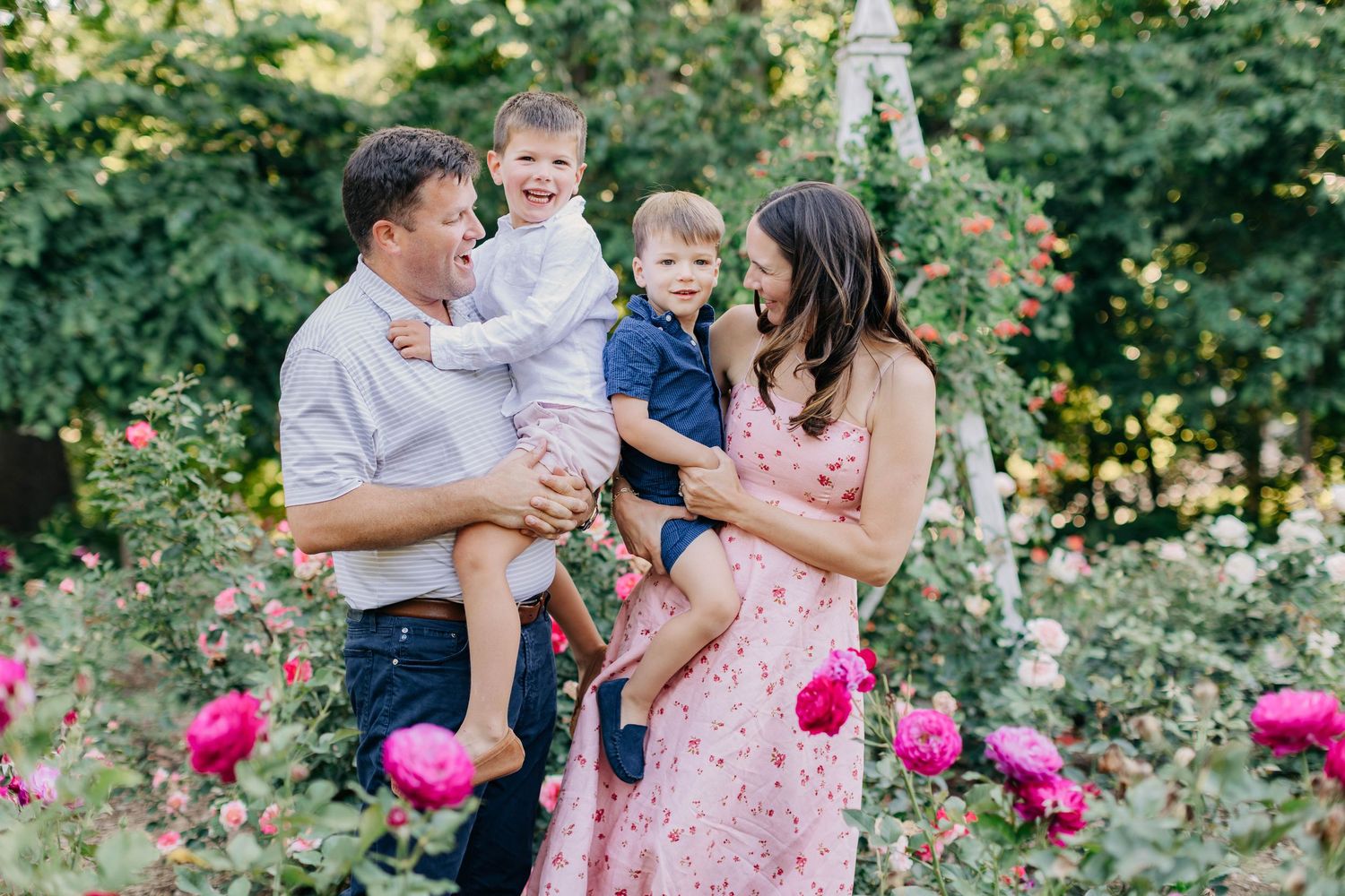A happy family of four poses among vibrant pink roses, parents each holding a young child in a lush garden.