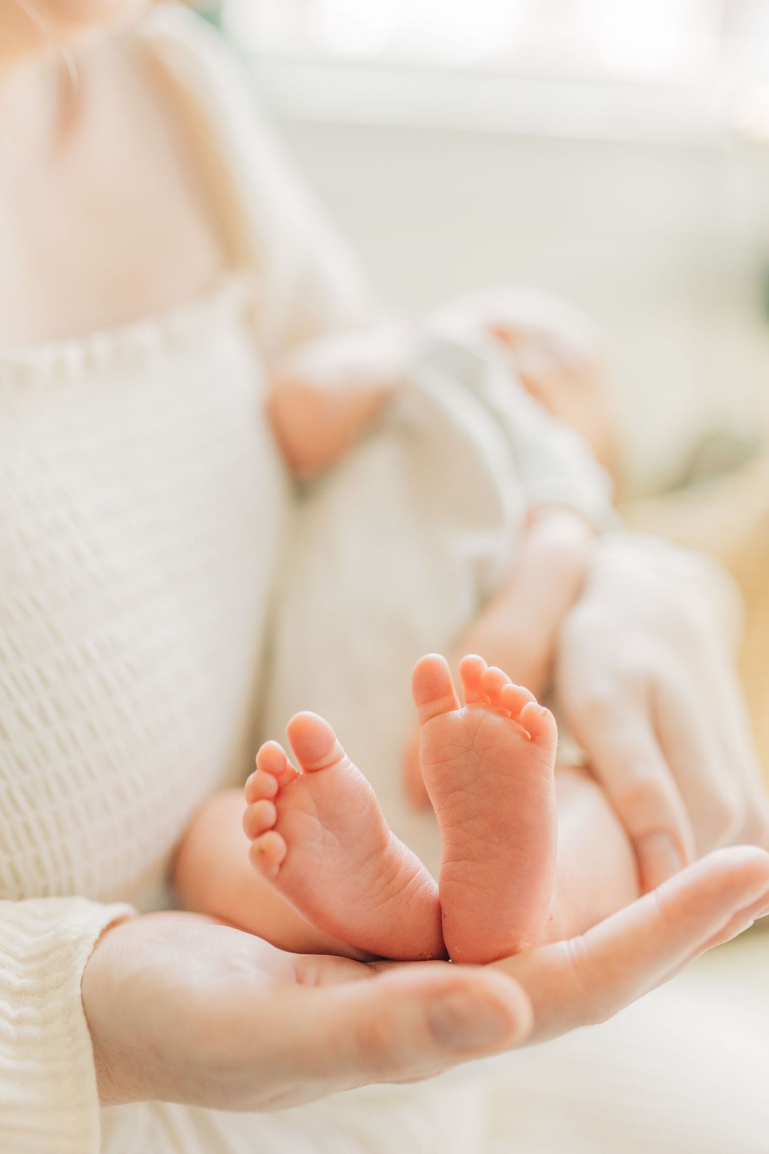 Close-up of delicate baby feet resting in parent's palm with soft natural lighting.