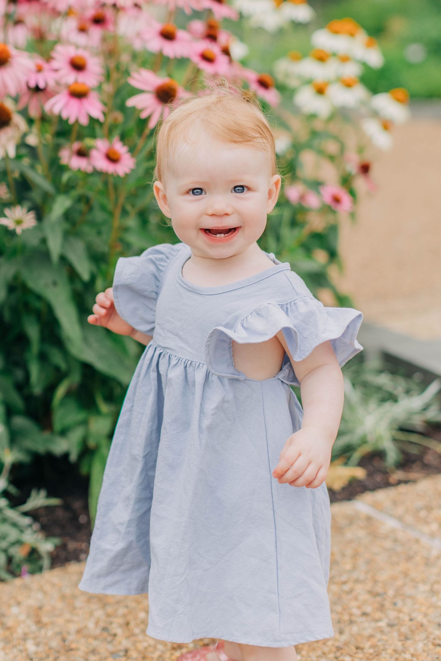 Smiling baby girl in a light blue ruffle dress standing in a garden with pink echinacea flowers blooming behind her.