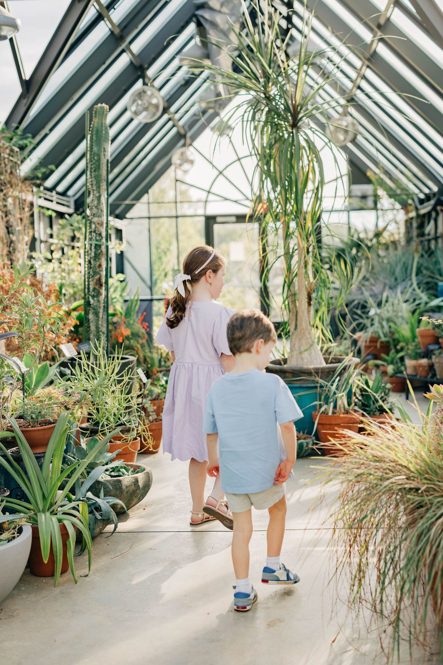 Two children walking hand in hand through a sunlit greenhouse filled with tropical plants.