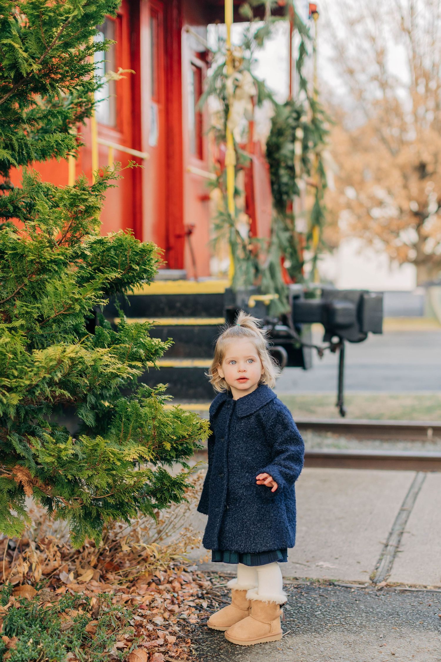 Toddler girl in navy blue coat and UGG boots standing near evergreen tree by red train car.