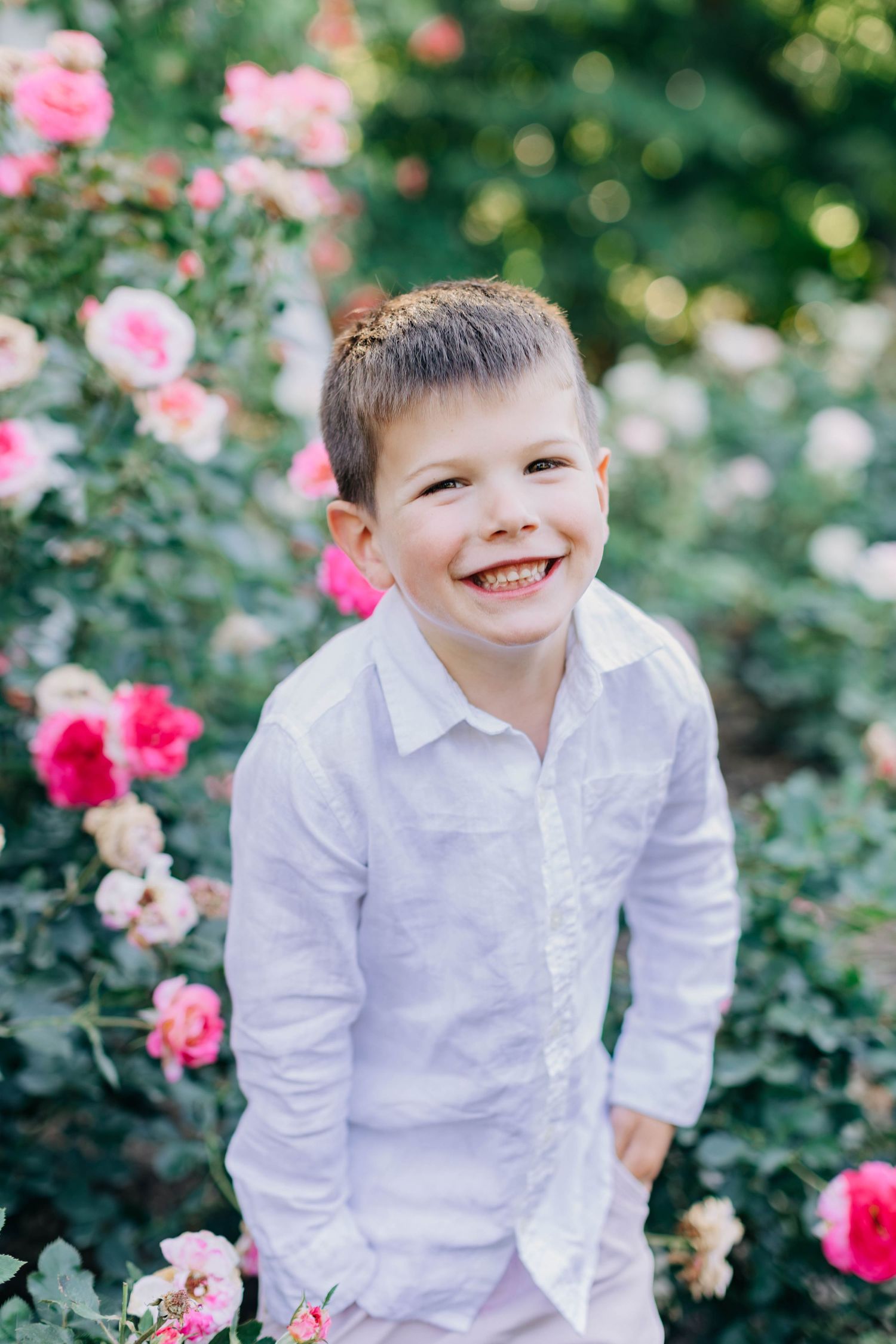 Smiling young boy in white shirt surrounded by pink roses in a garden.