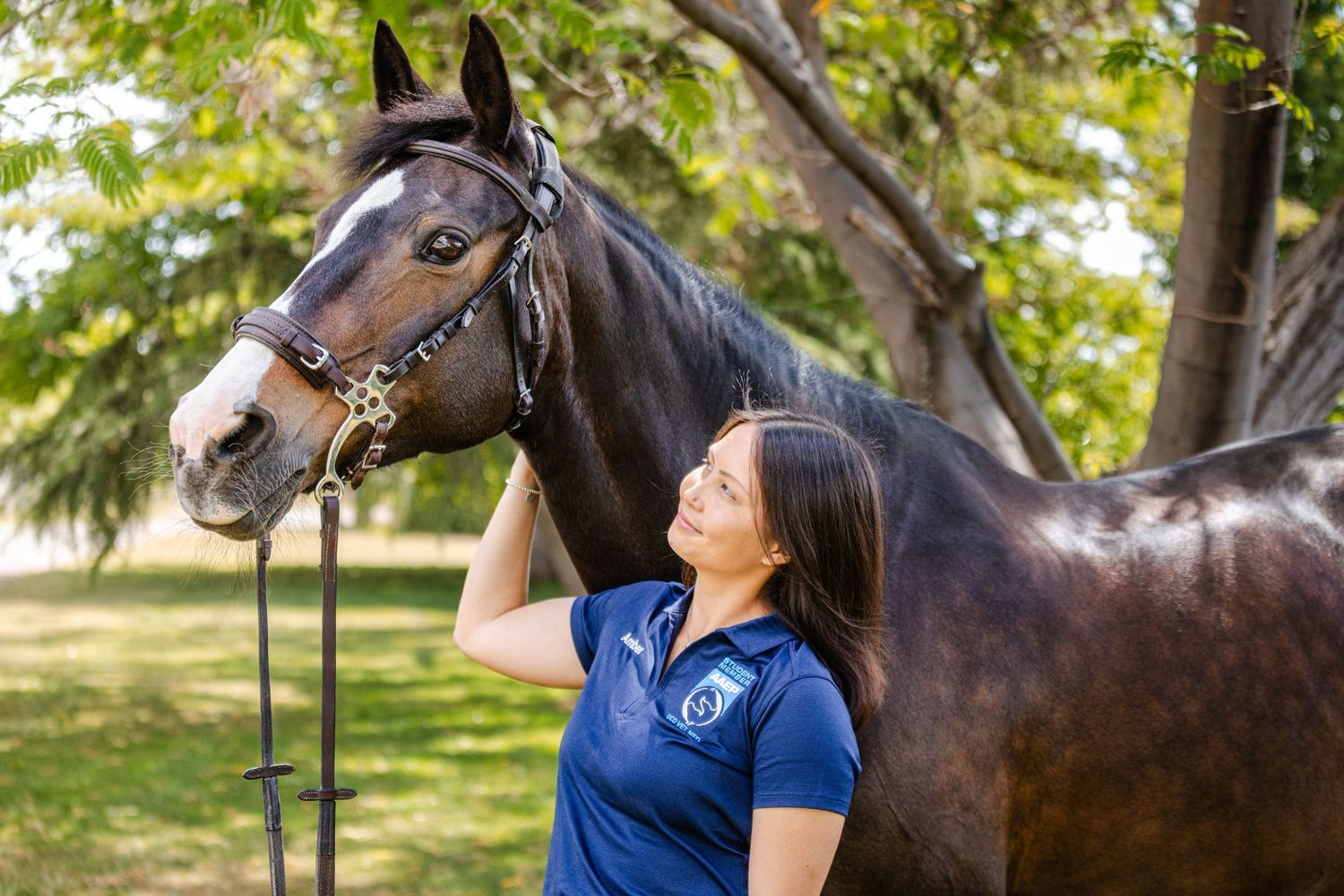 Woman in blue polo shirt affectionately petting a dark bay horse under shady trees outdoors.