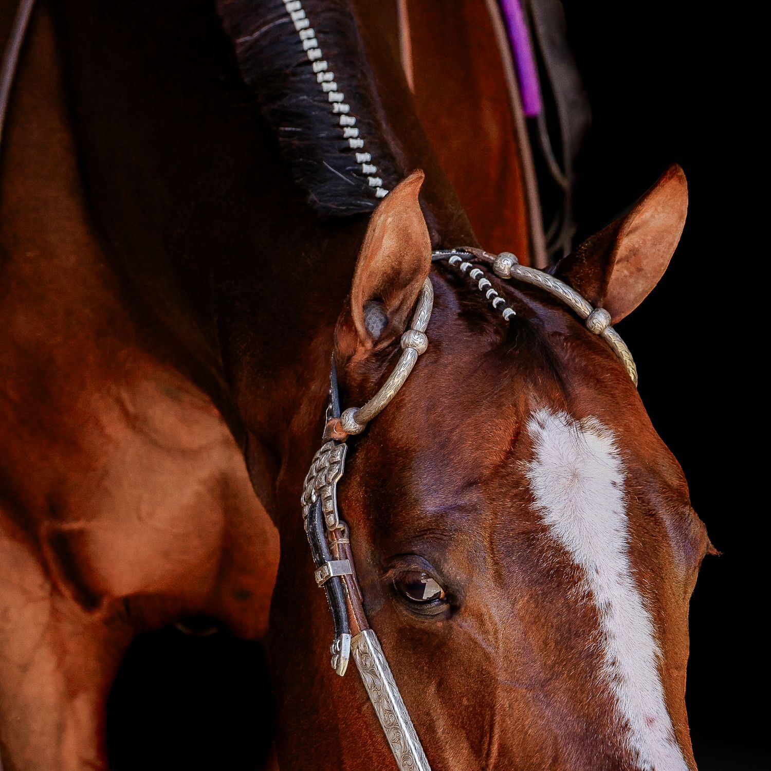 Close-up of a chestnut horse with a white blaze wearing a decorative bridle against a dark background.