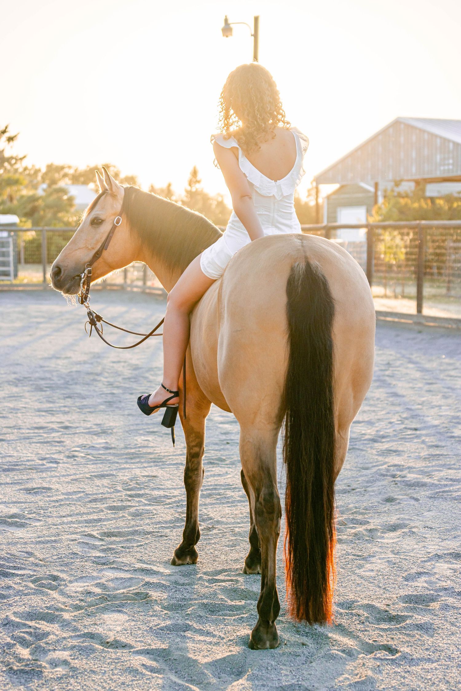 Young woman in white dress riding a buckskin horse bareback at sunset in a sandy arena.