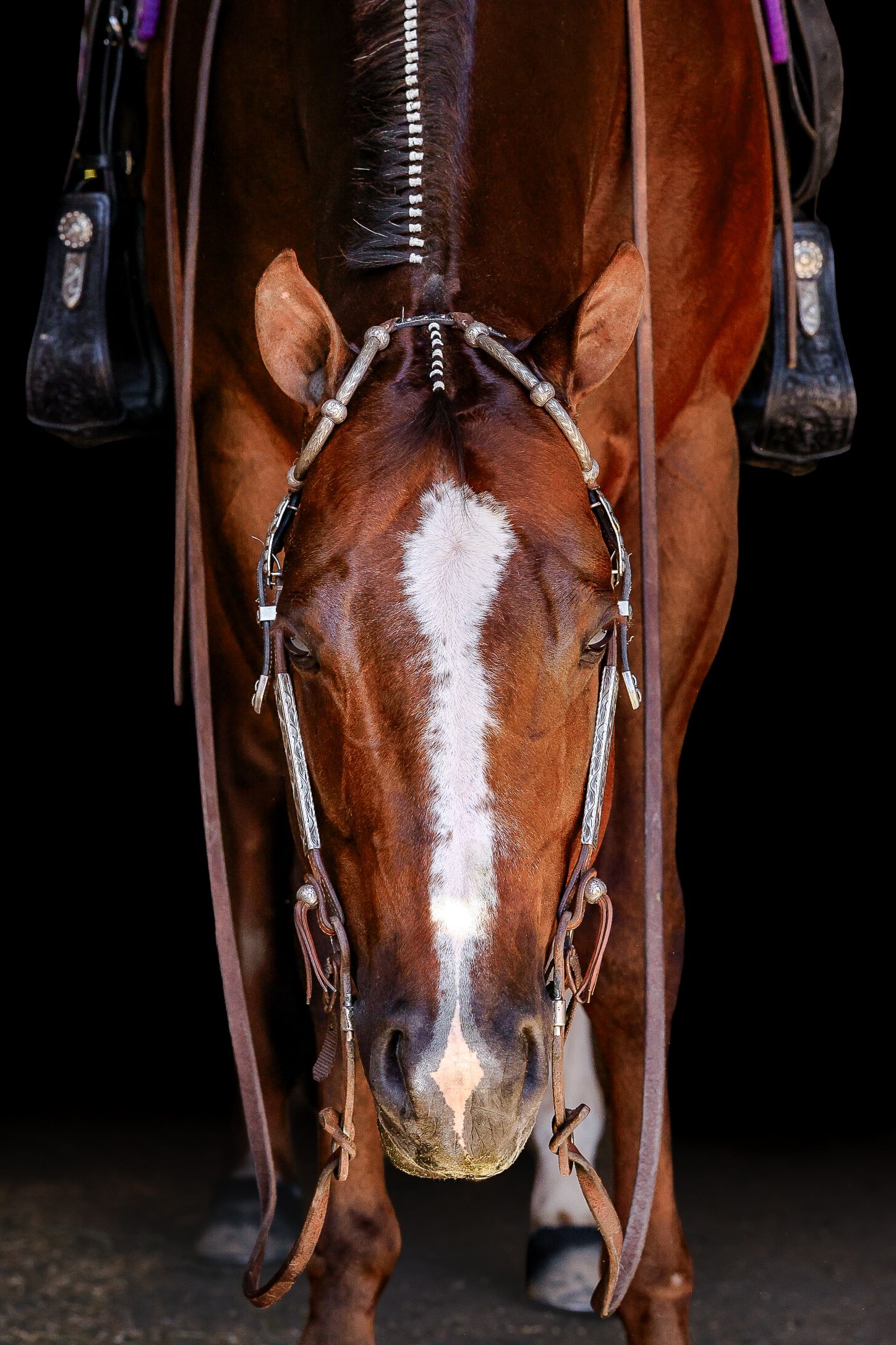 Close-up of a bay horse with a white blaze wearing decorative beaded bridle and western saddle against dark background.