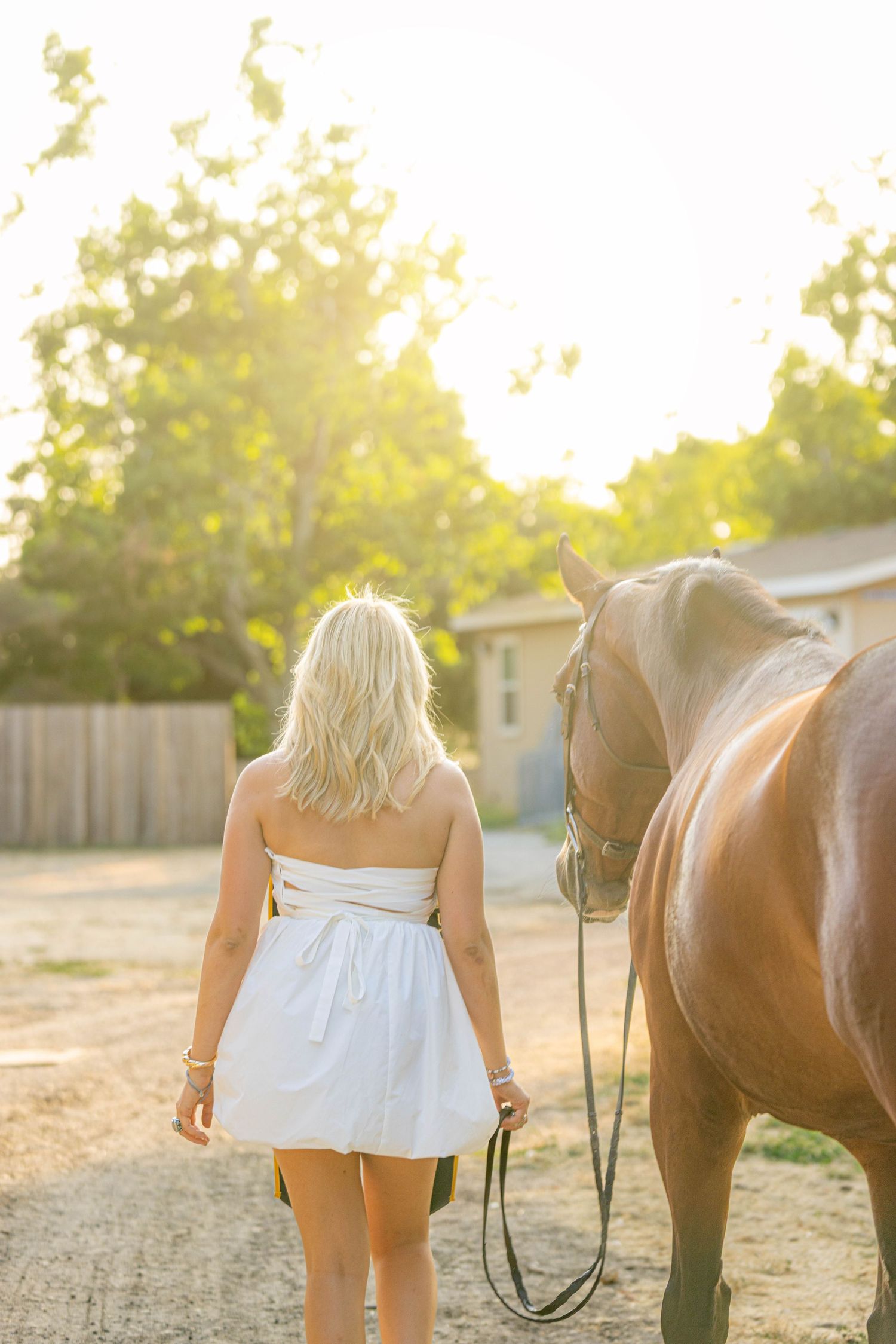 Blonde woman in white dress leads chestnut horse during golden hour sunset at stable.
