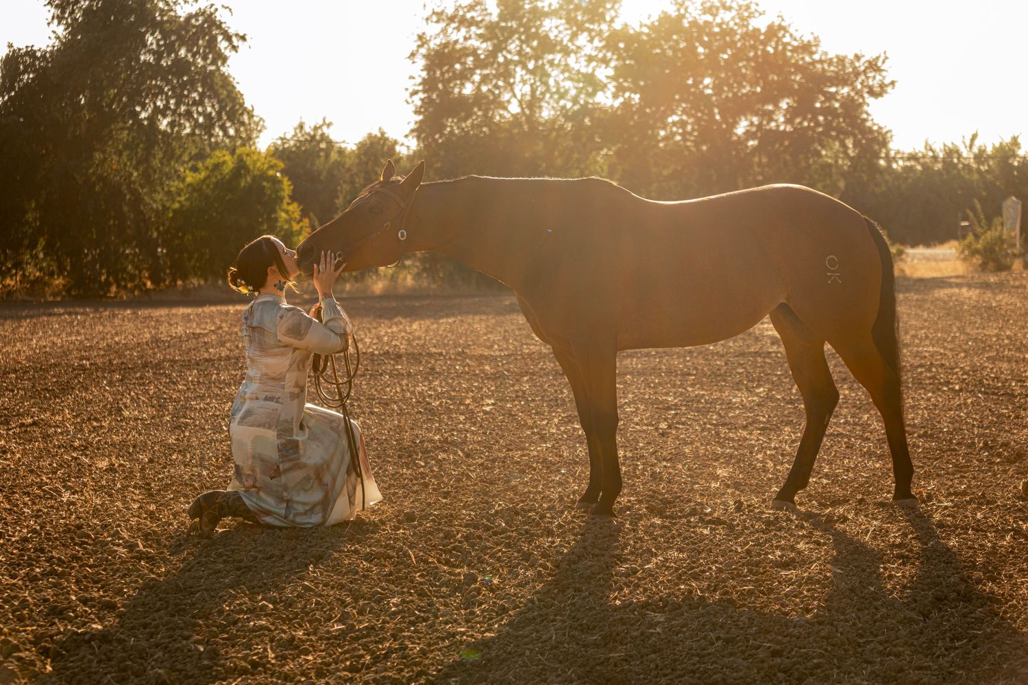 Woman in floral dress kneels before a brown horse in golden backlit outdoor setting.