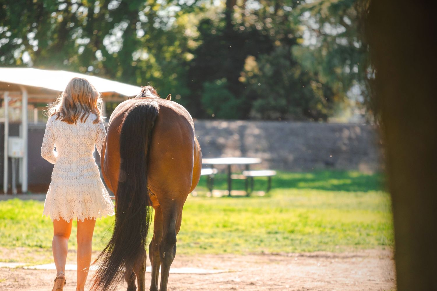 Blonde woman in white dress walking alongside a bay horse in a sunny green pasture.