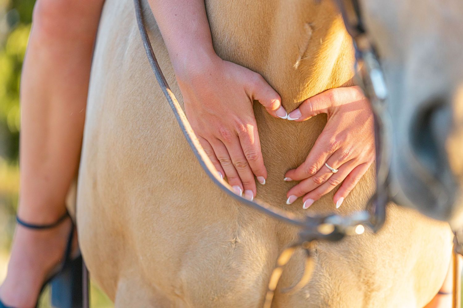 Close-up of two hands forming heart shape on golden horse coat with bridle visible in warm sunlight.