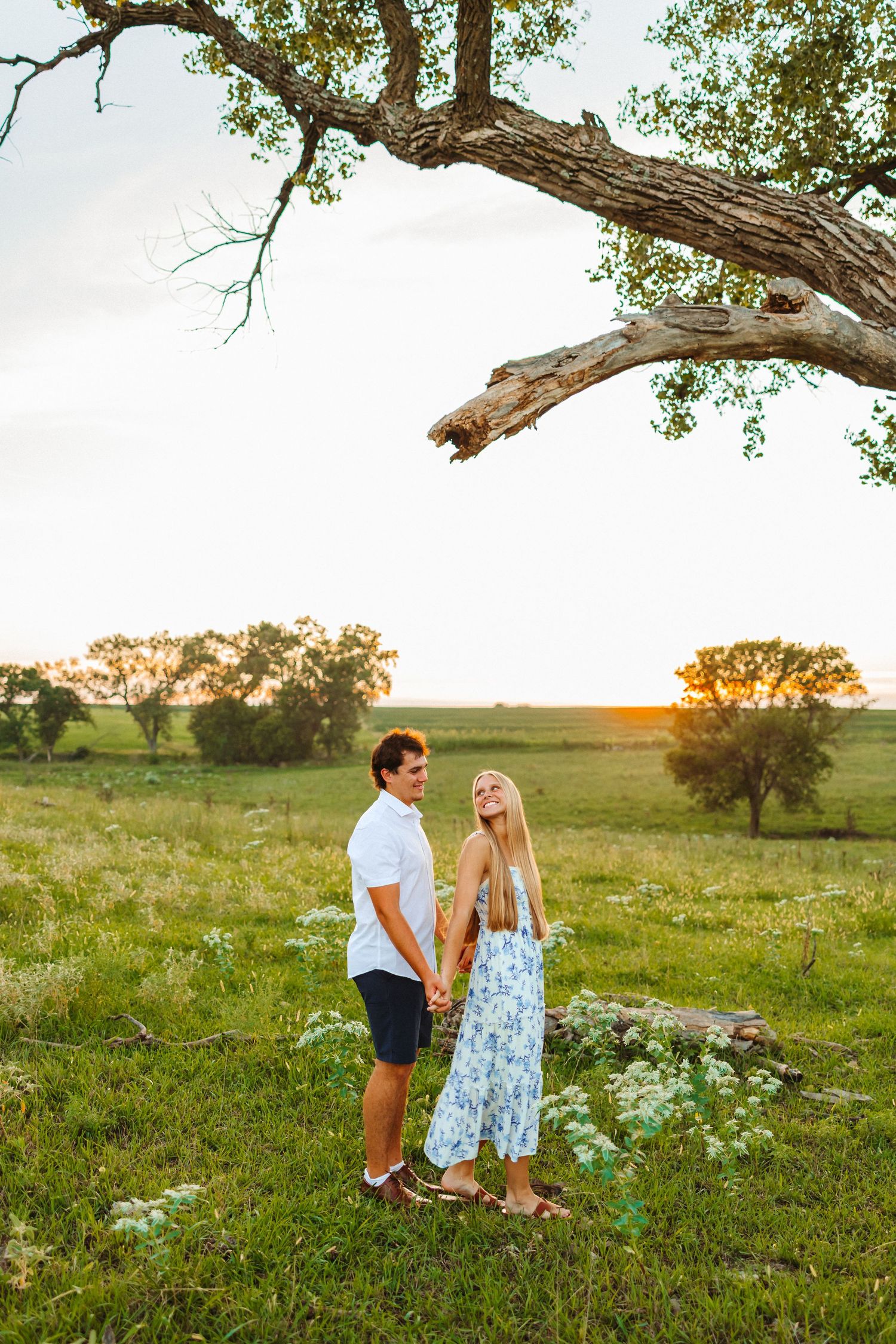 Couple holding hands in a green field at golden hour beneath a large tree.