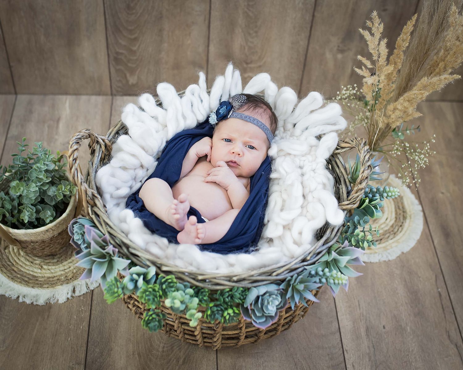 Baby liegt wach im Korb eingewickelt in einen wrap, natürlich im Studio fotografiert