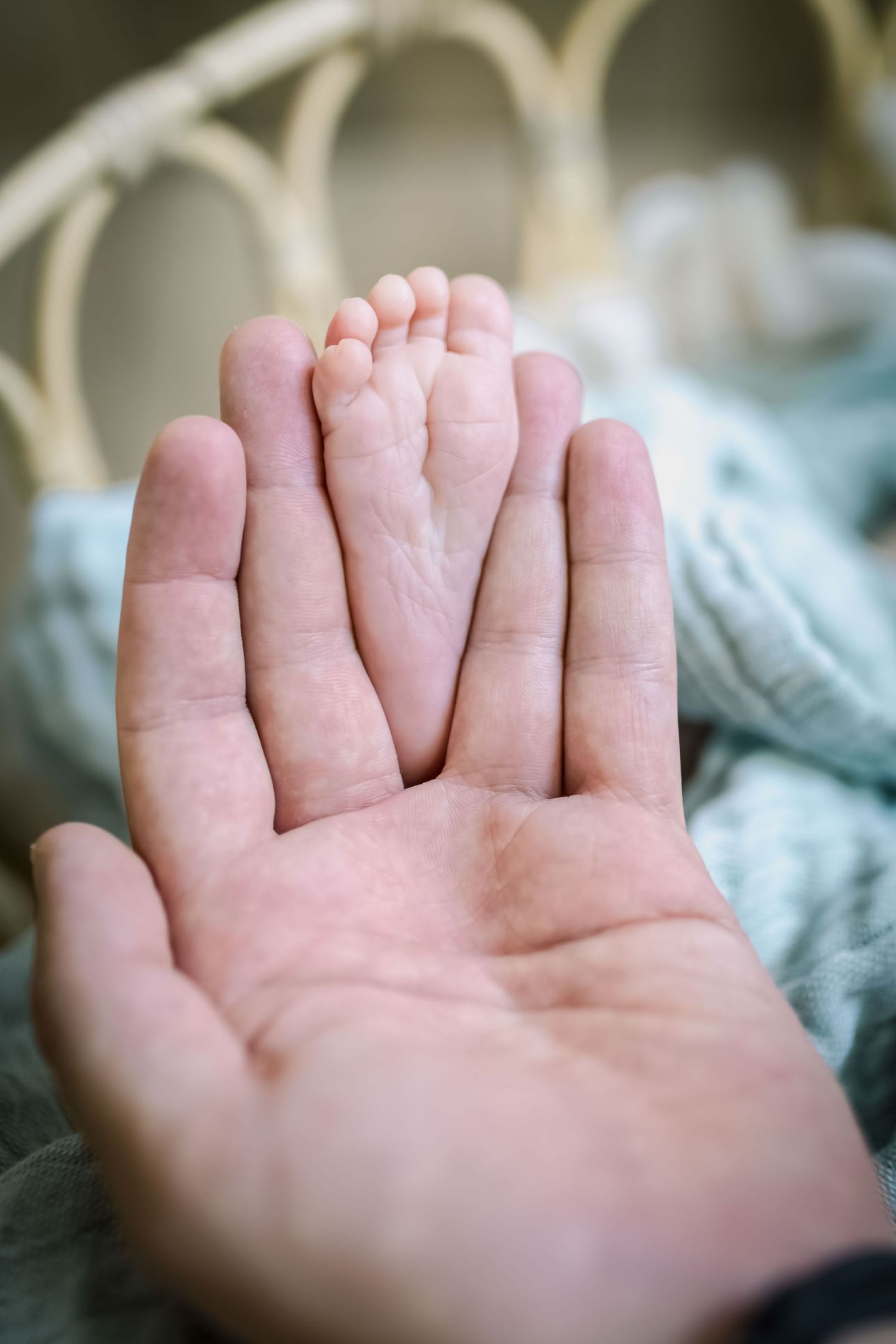 Babyfüsse fotografiert im Tageslichtstudio in Denkendorf