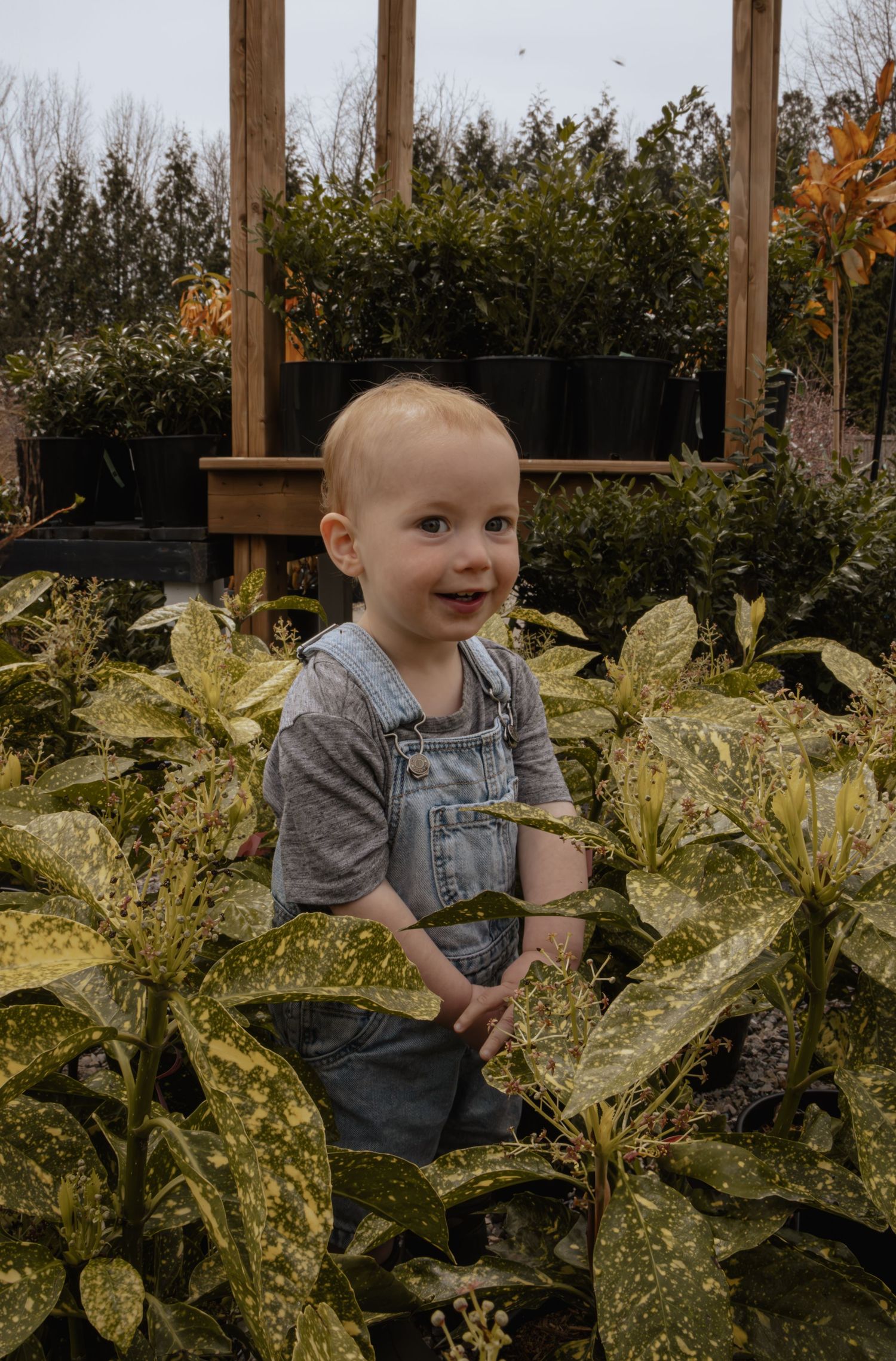 Child standing among lush green plants inside a greenhouse during natural light photo session