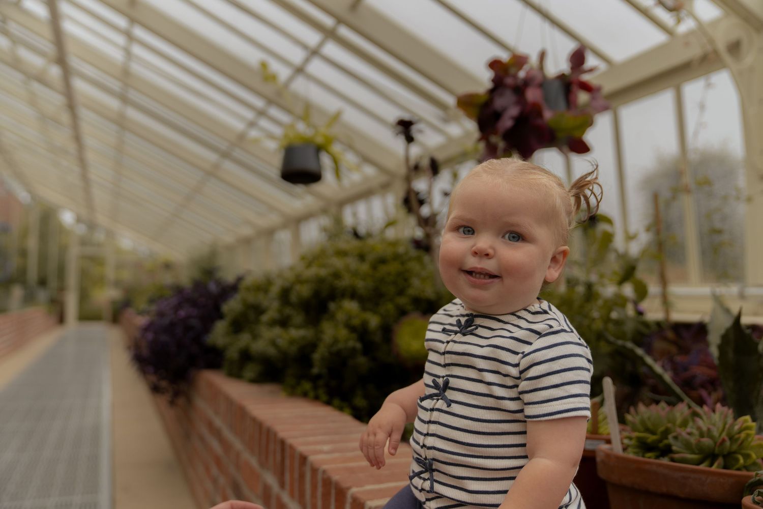 green house session with little girl