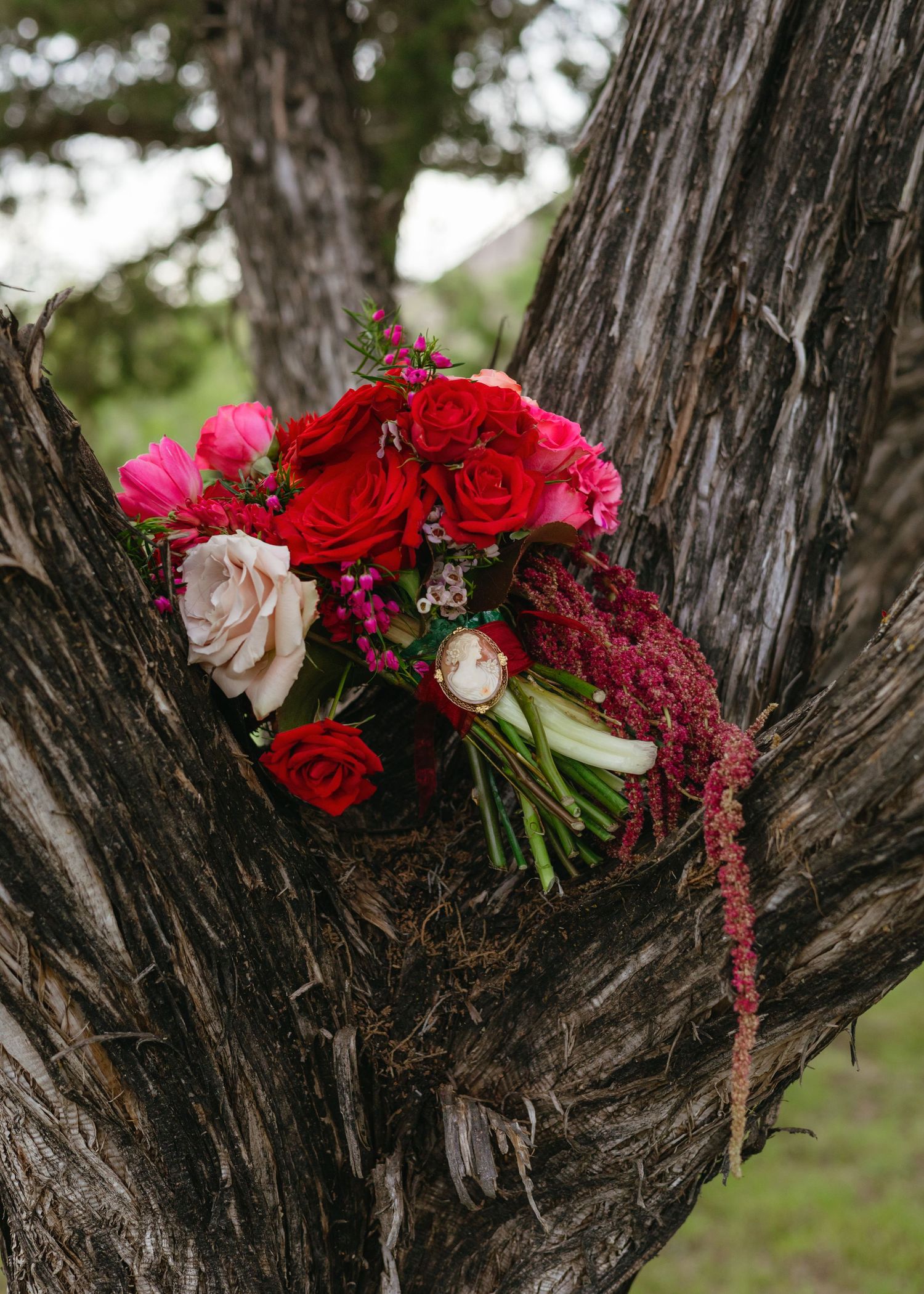 Bridal bouquet of red and pink roses with amaranthus cascading in a rustic tree trunk outdoors.