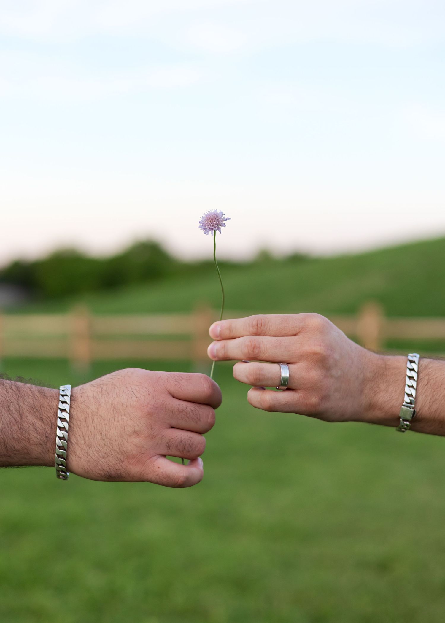 Two hands exchanging a small purple flower, both wearing silver bracelets, with a green field and wooden fence behind.