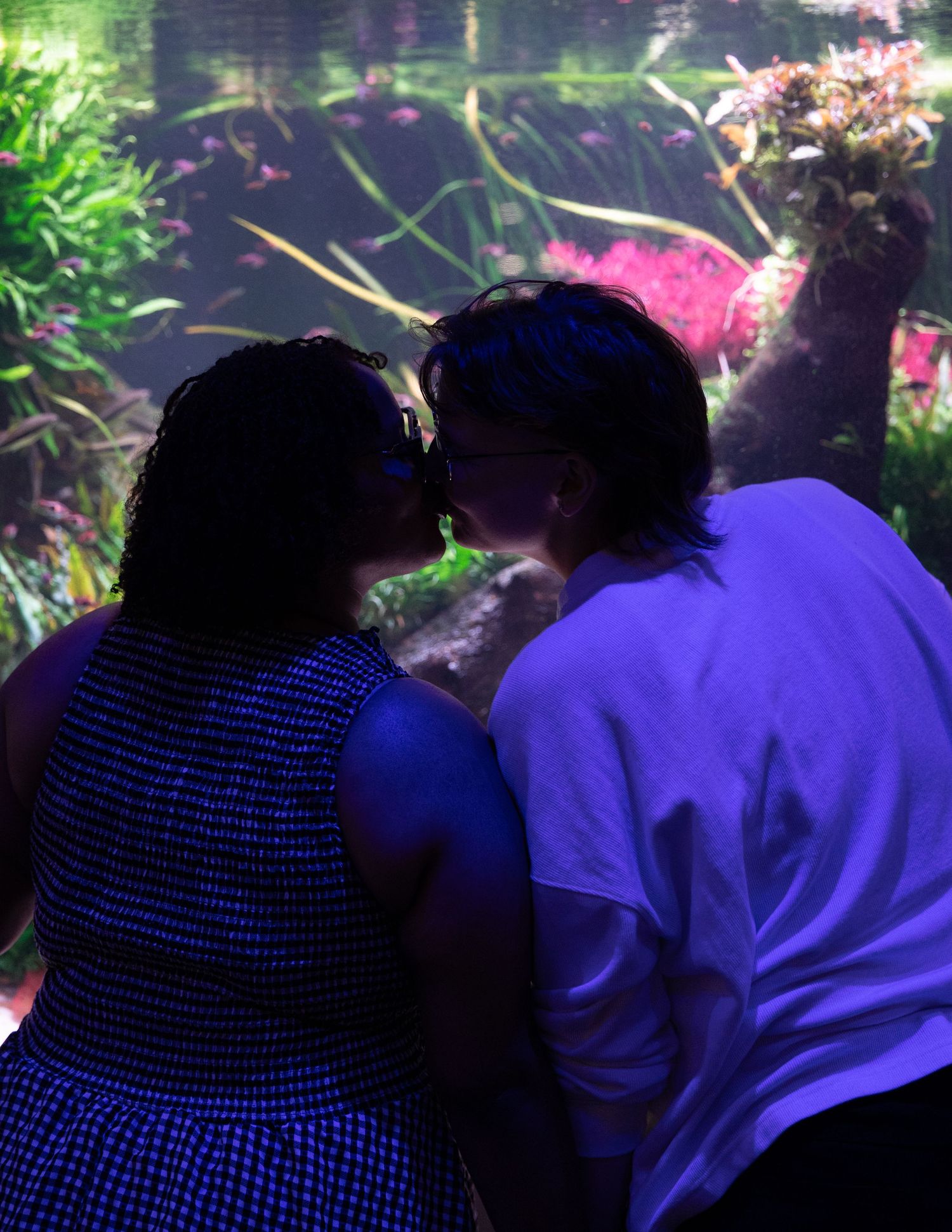 Two people sharing a romantic kiss silhouetted against a colorful illuminated aquarium display.