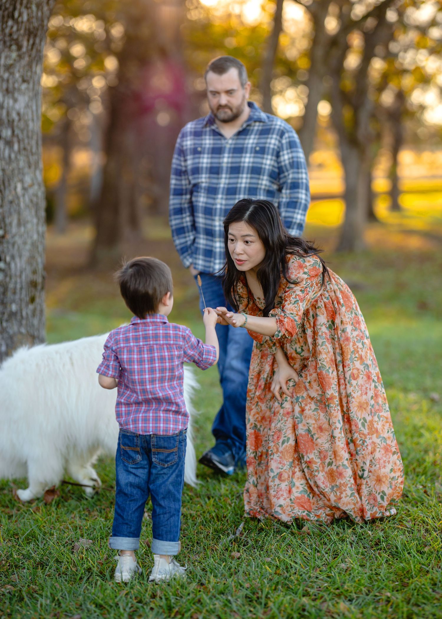 Family and dog enjoying a golden sunset in a park with autumn trees while wearing plaid and floral clothing.