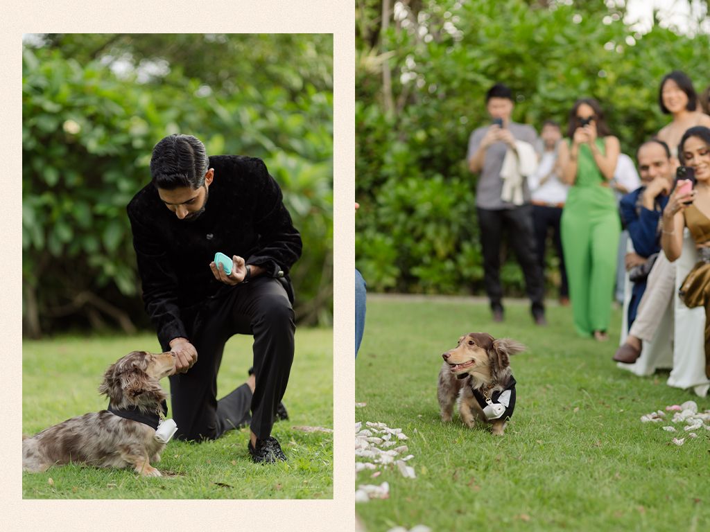 Groom in black suit playing with a dachshund dog wearing a bow tie at outdoor wedding.