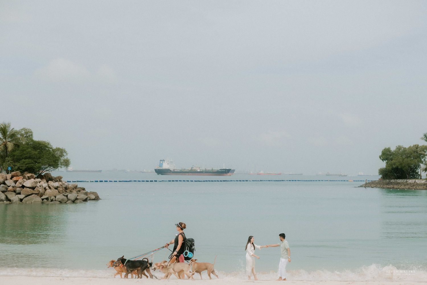 Couple in white attire holding hands on a serene beach with dogs and a ship in the background.