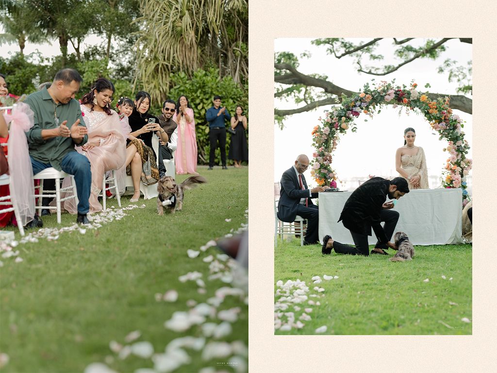 Wedding guests seated outdoors as groom interacts with a dog near the floral ceremony arch.