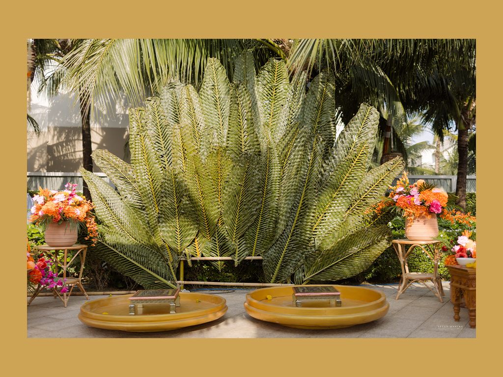 Lush tropical cycad palm plant displayed between two large ceramic bowls with colorful flowers in background.