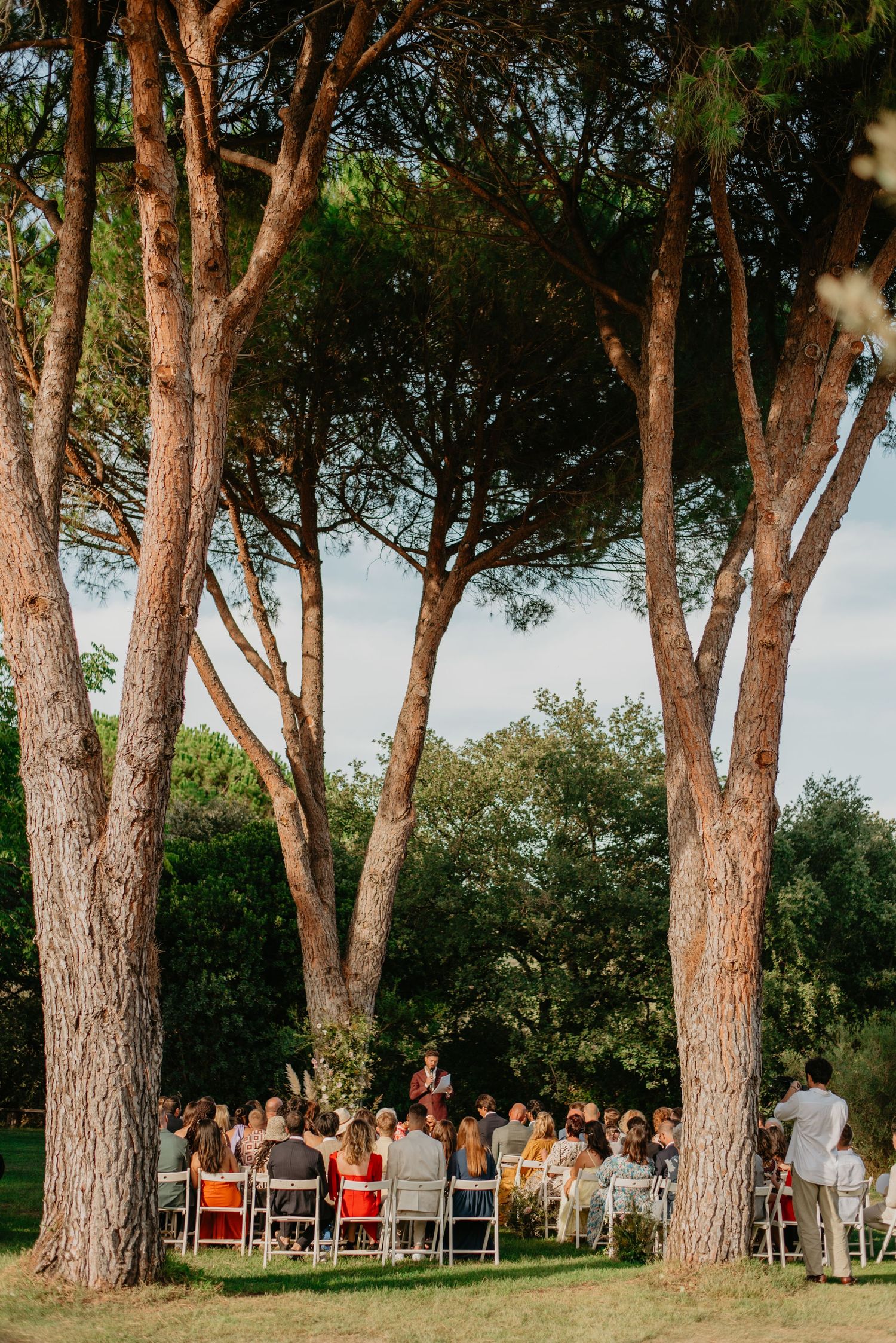 Ceremonie de mariage sur les pins