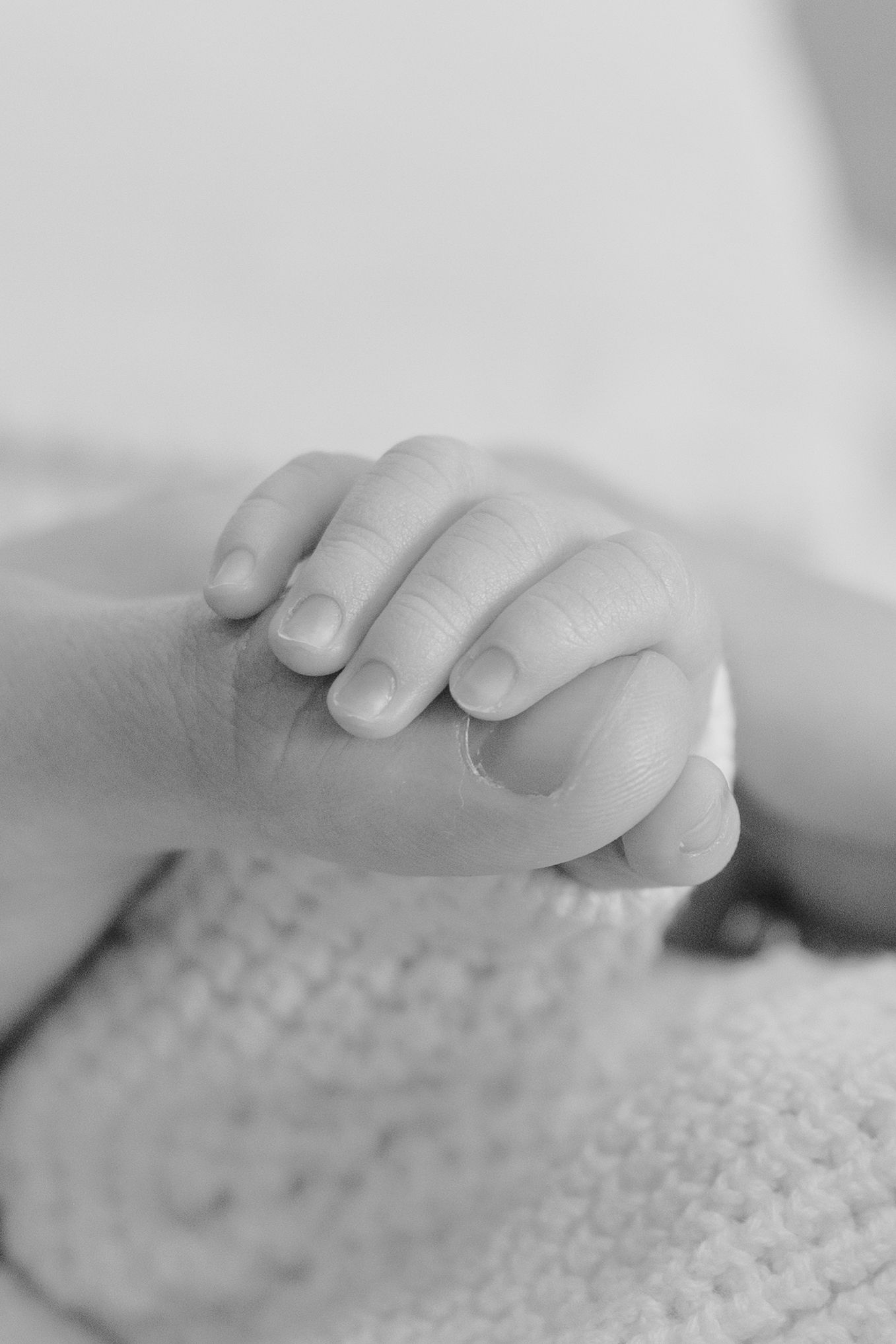 Black and white close-up of newborn baby's tiny hand gripping adult finger.