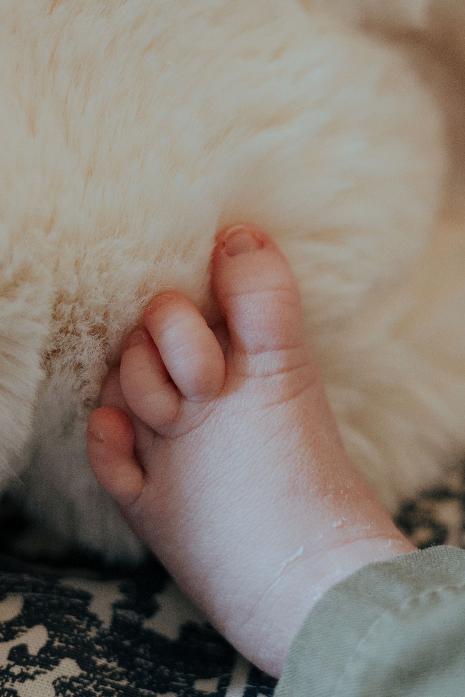 Tiny newborn baby hand resting against soft white fluffy surface.